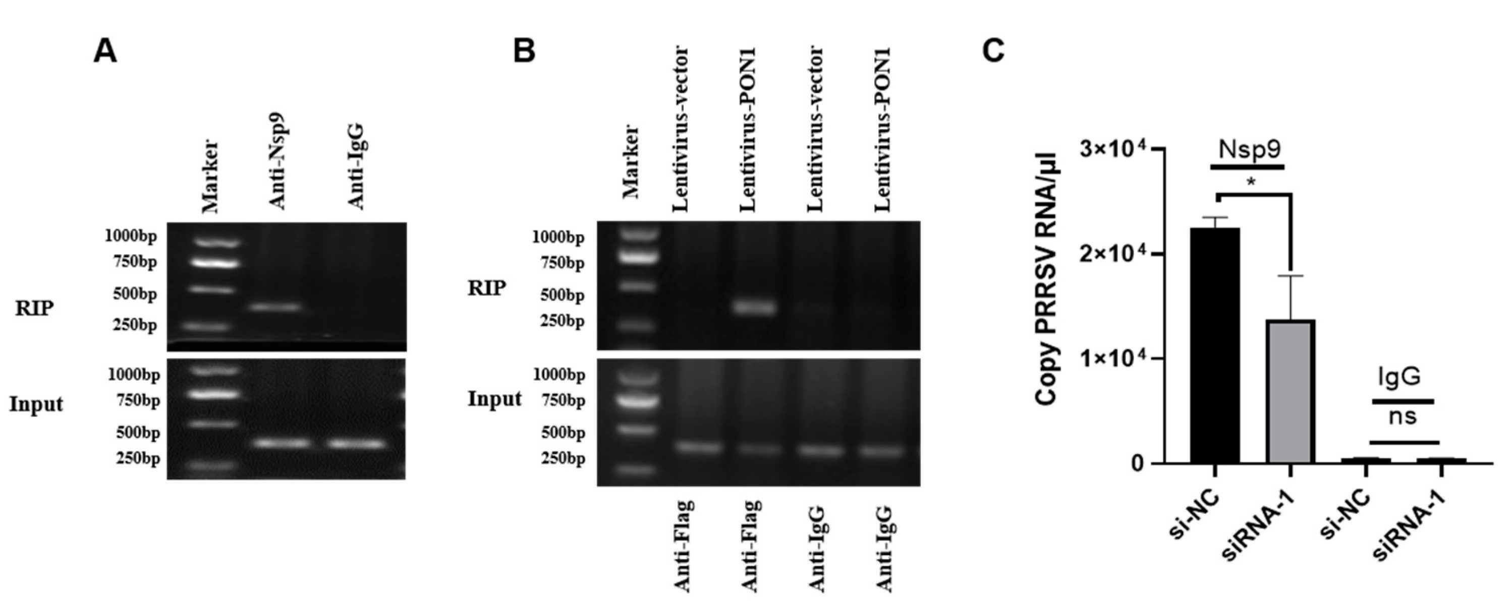 Viruses 14 01203 g005