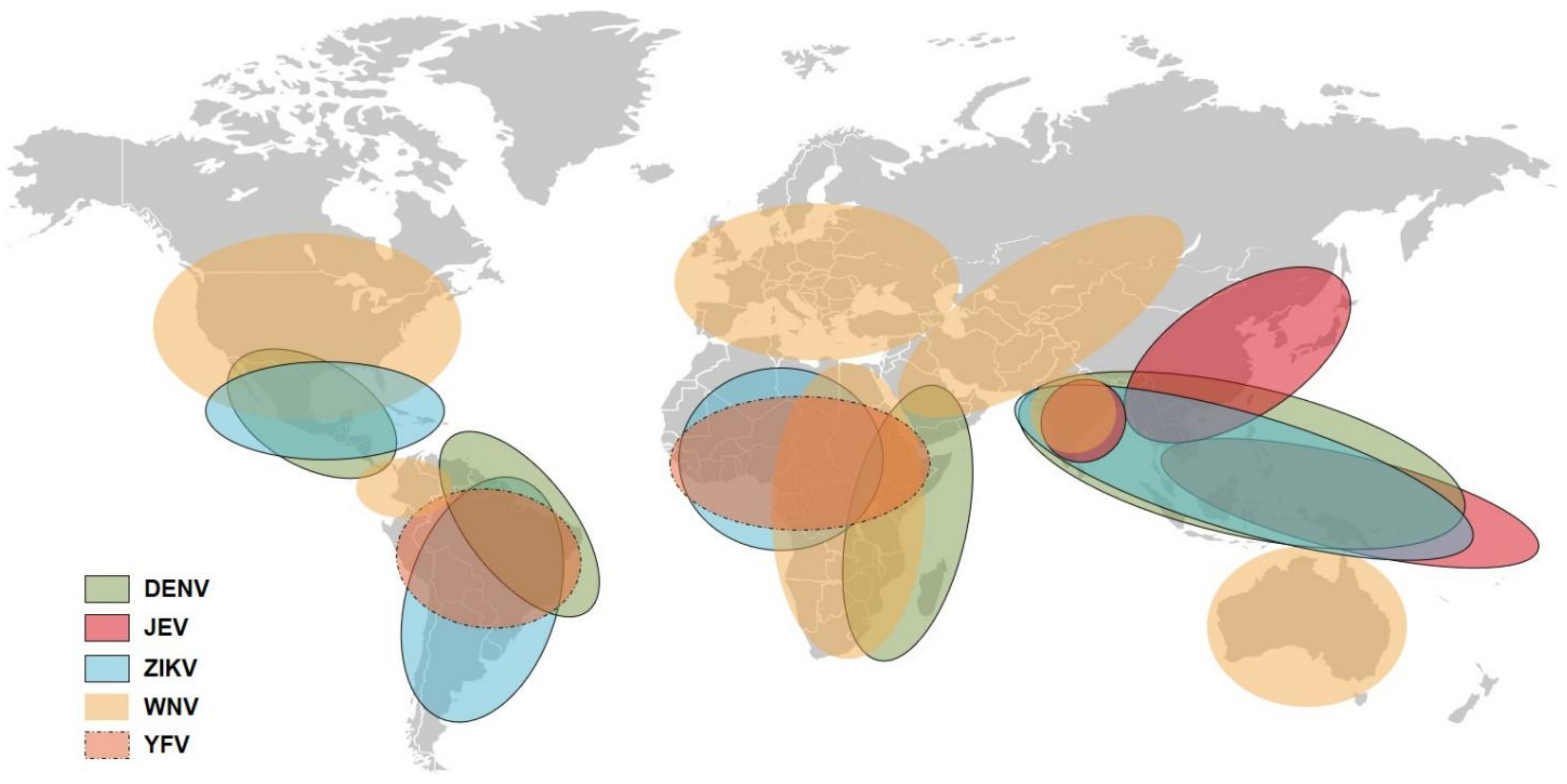 Viruses 14 01213 g001