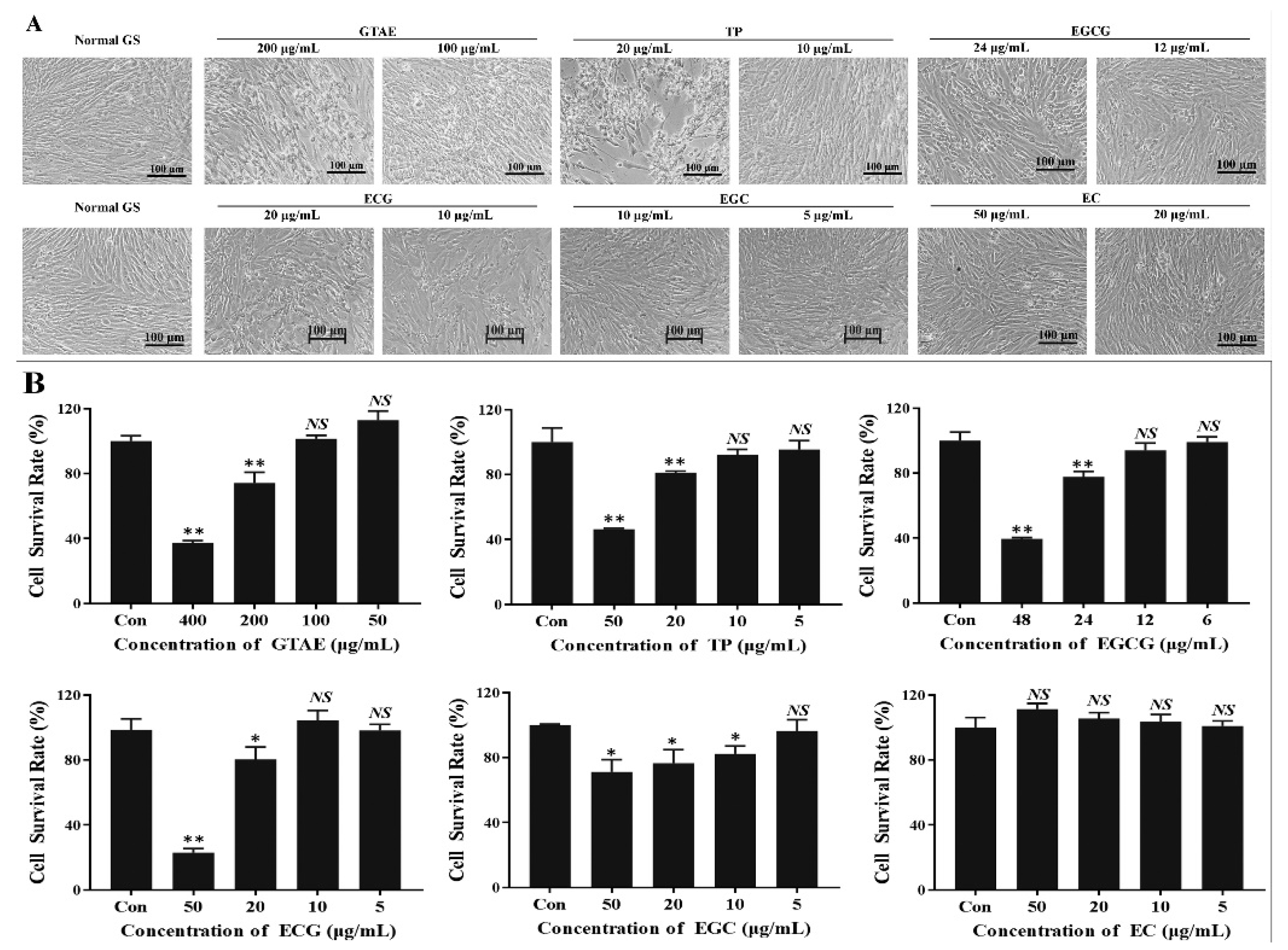 Viruses 14 01227 g002