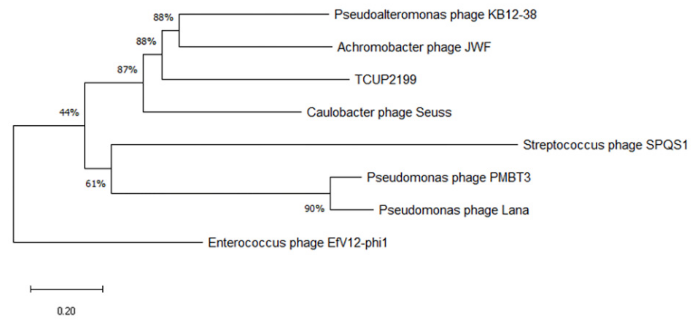 Viruses 14 01240 g007