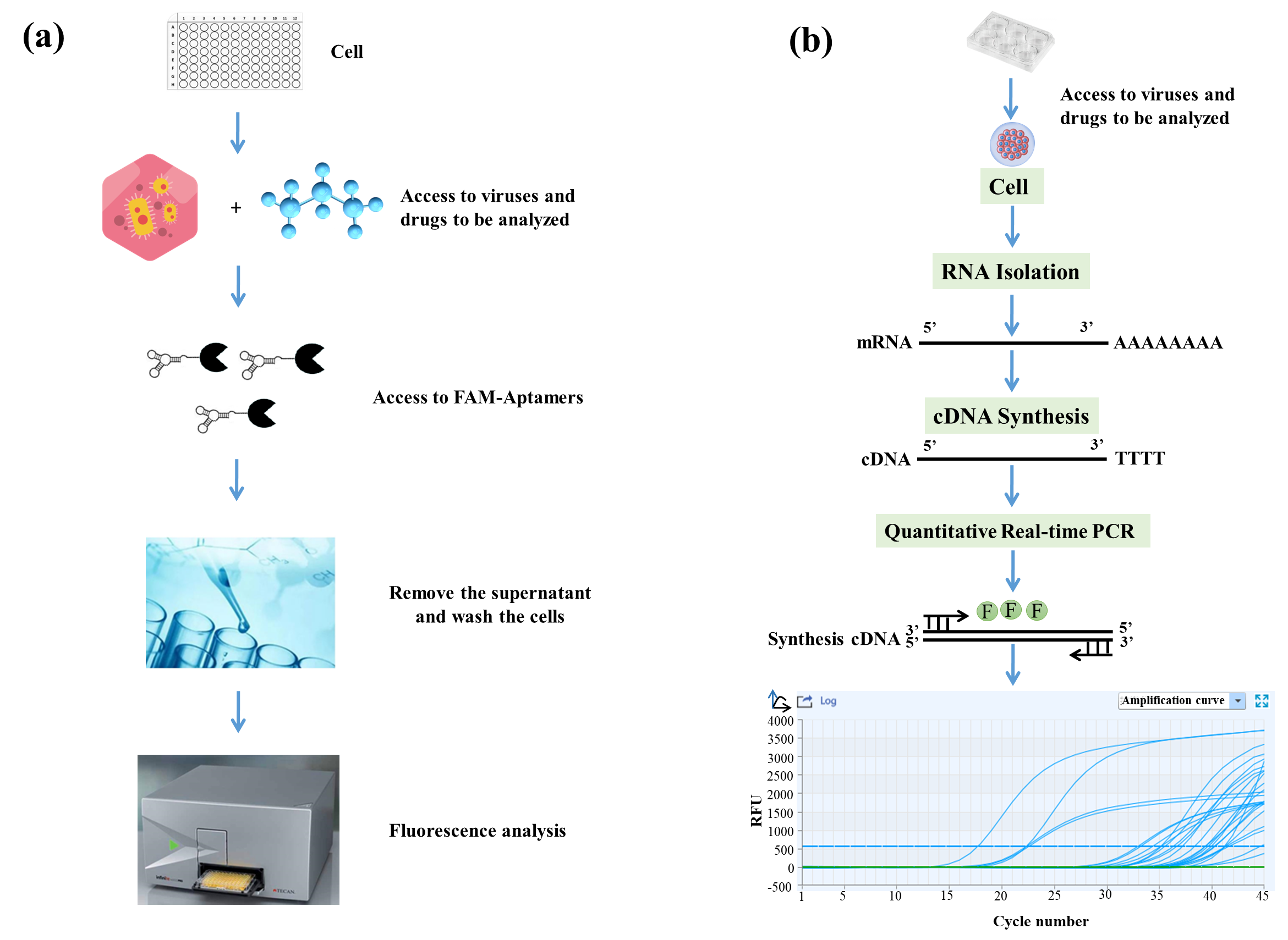 Viruses 14 01242 g001