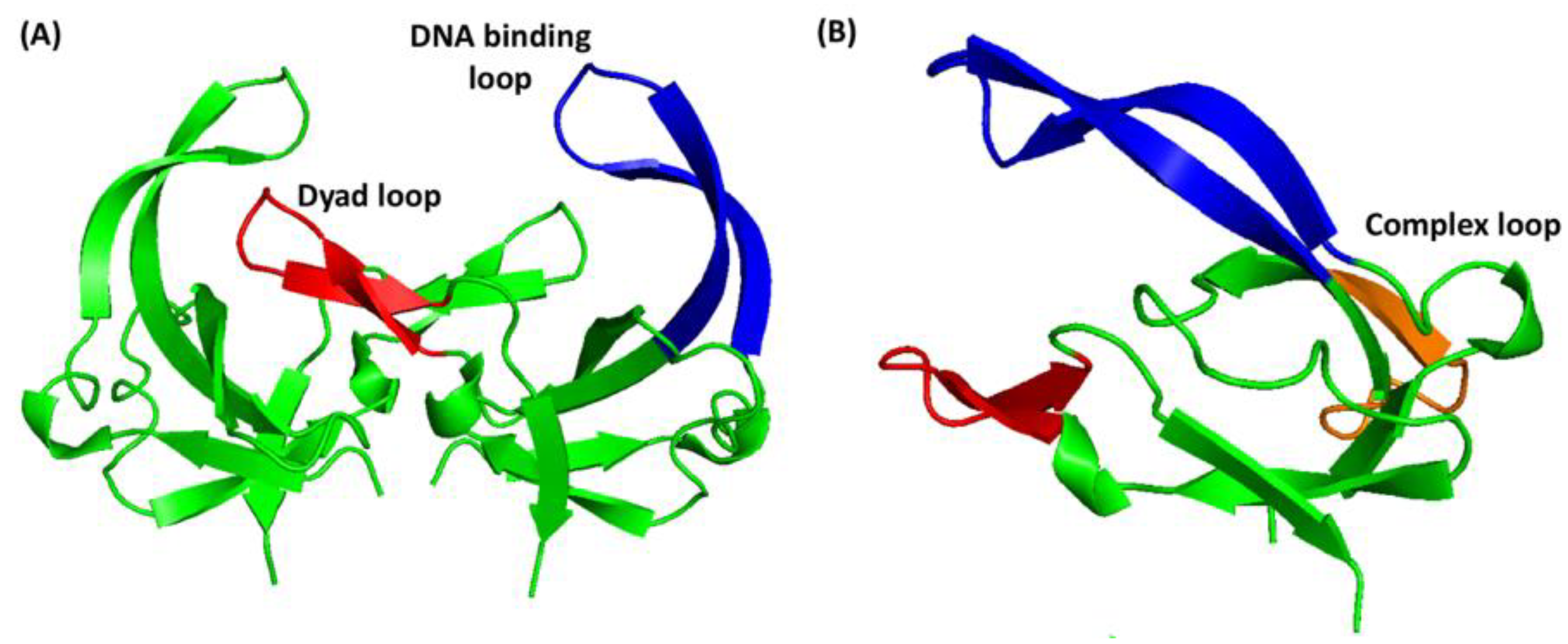 Viruses 14 01264 g001 Viruses 14 01264 g001