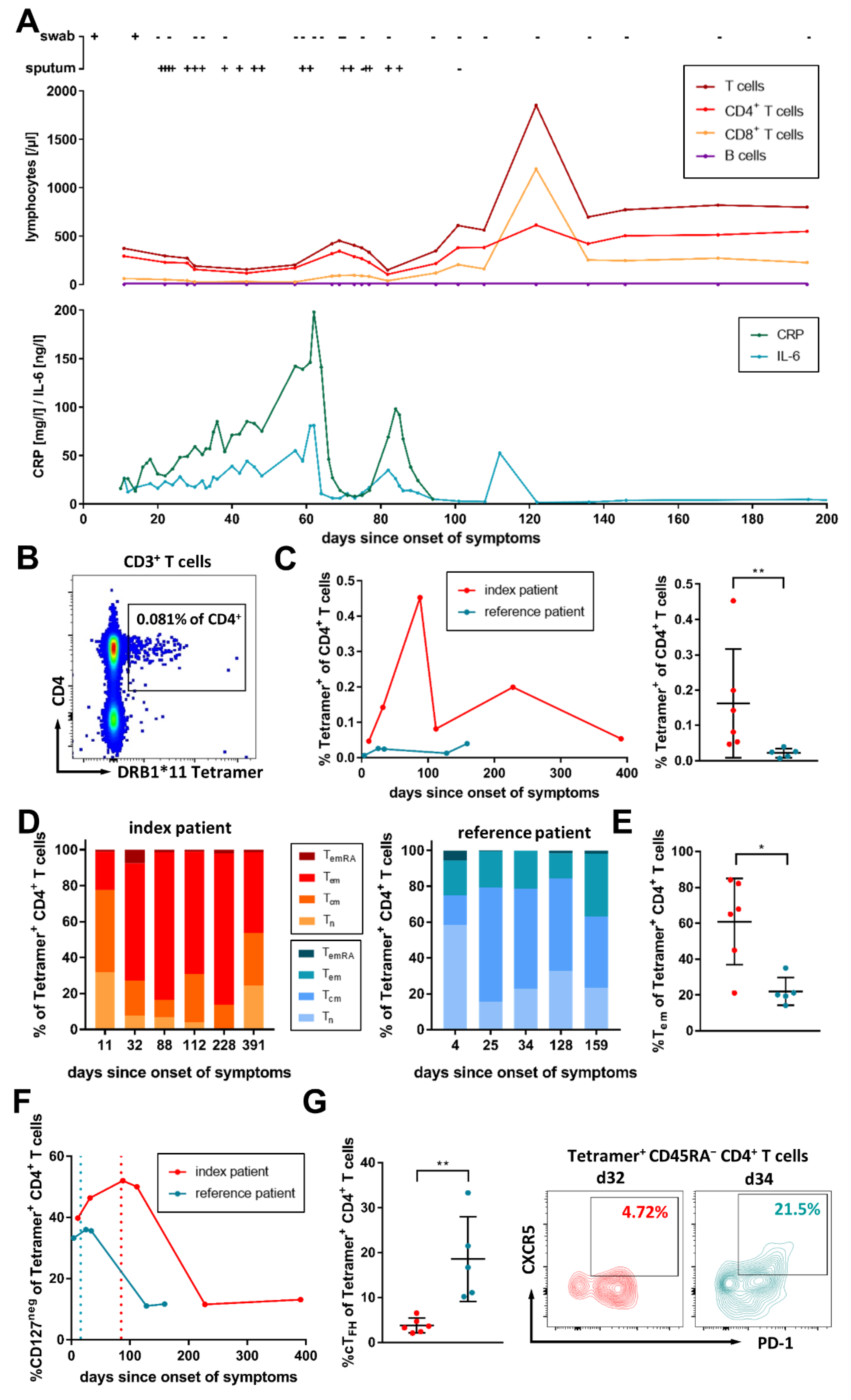 Viruses | Free Full-Text | High and Sustained Ex Vivo Frequency but Altered  Phenotype of SARS-CoV-2-Specific CD4+ T-Cells in an Anti-CD20-Treated  Patient with Prolonged COVID-19