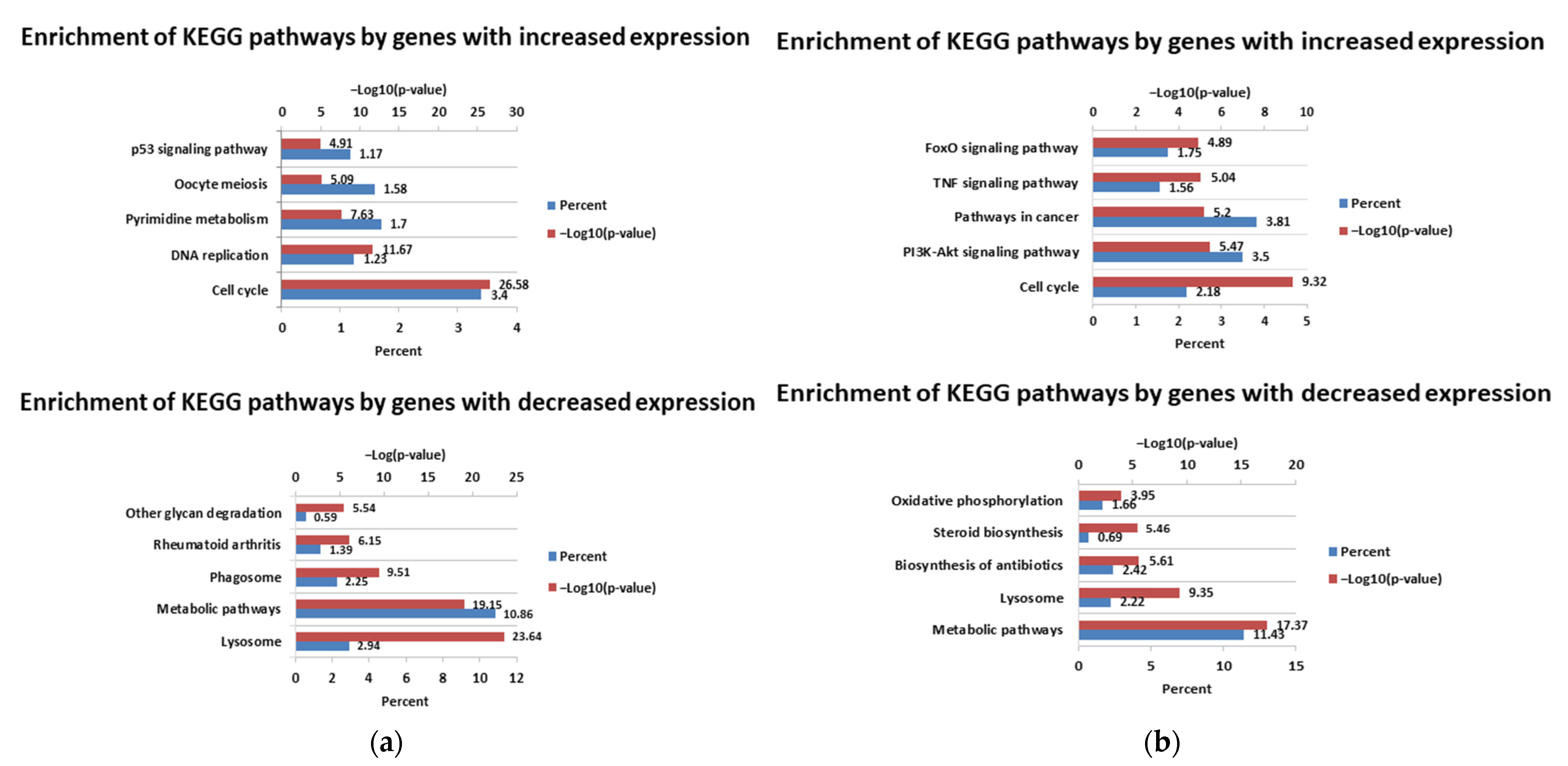 Viruses 14 01276 g006