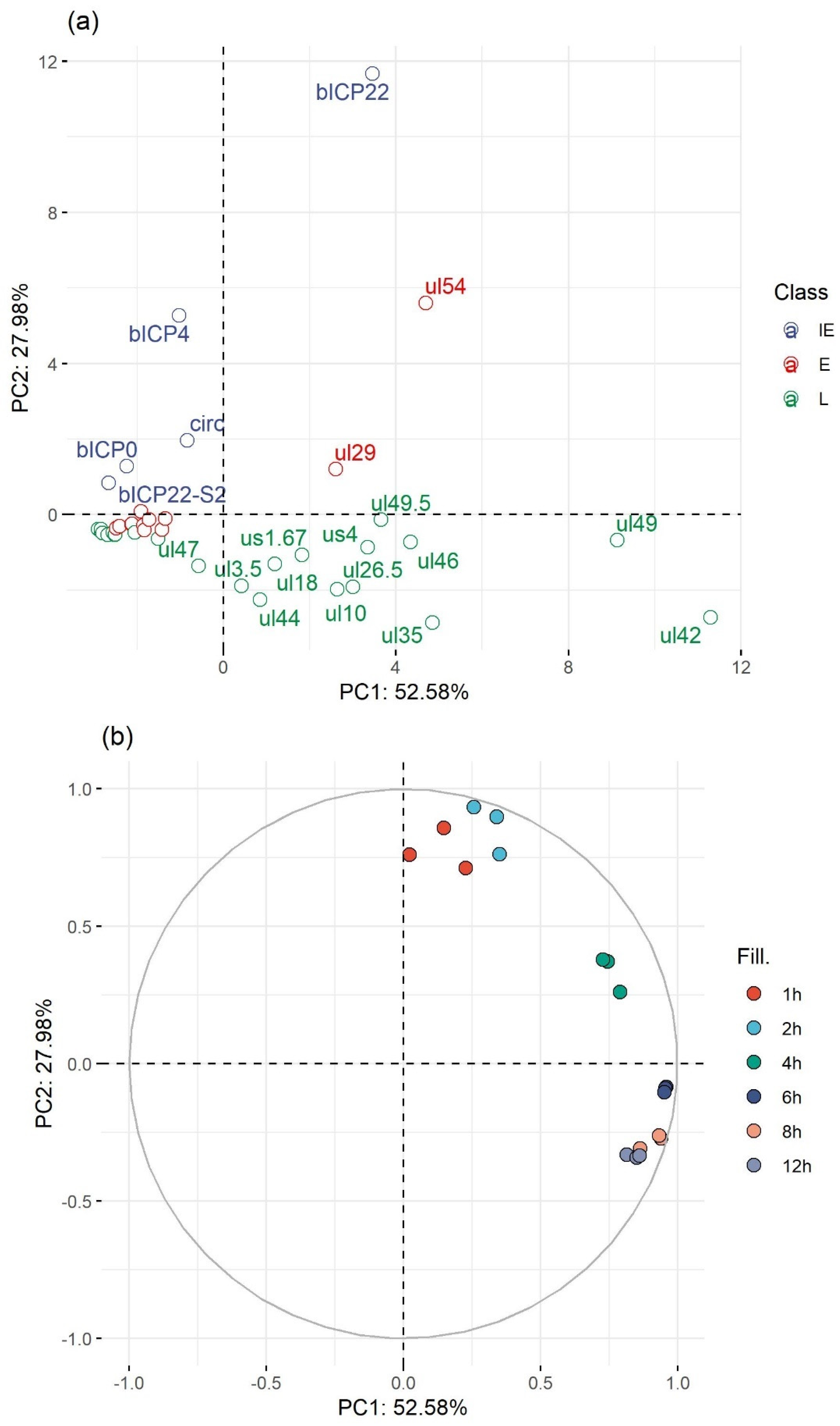 Viruses | Free Full-Text | In-Depth Temporal Transcriptome Profiling of an  Alphaherpesvirus Using Nanopore Sequencing | HTML
