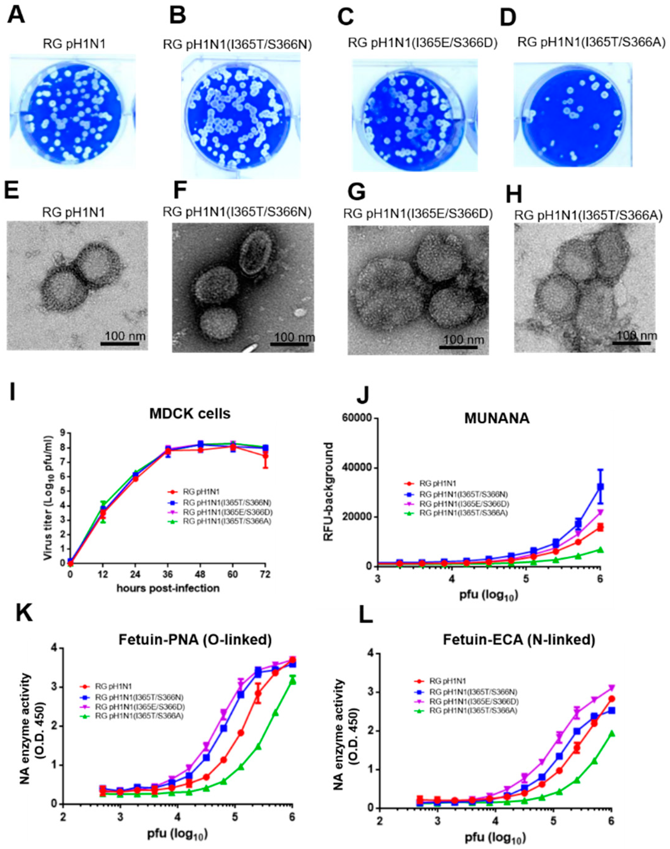 Viruses 14 01304 g002