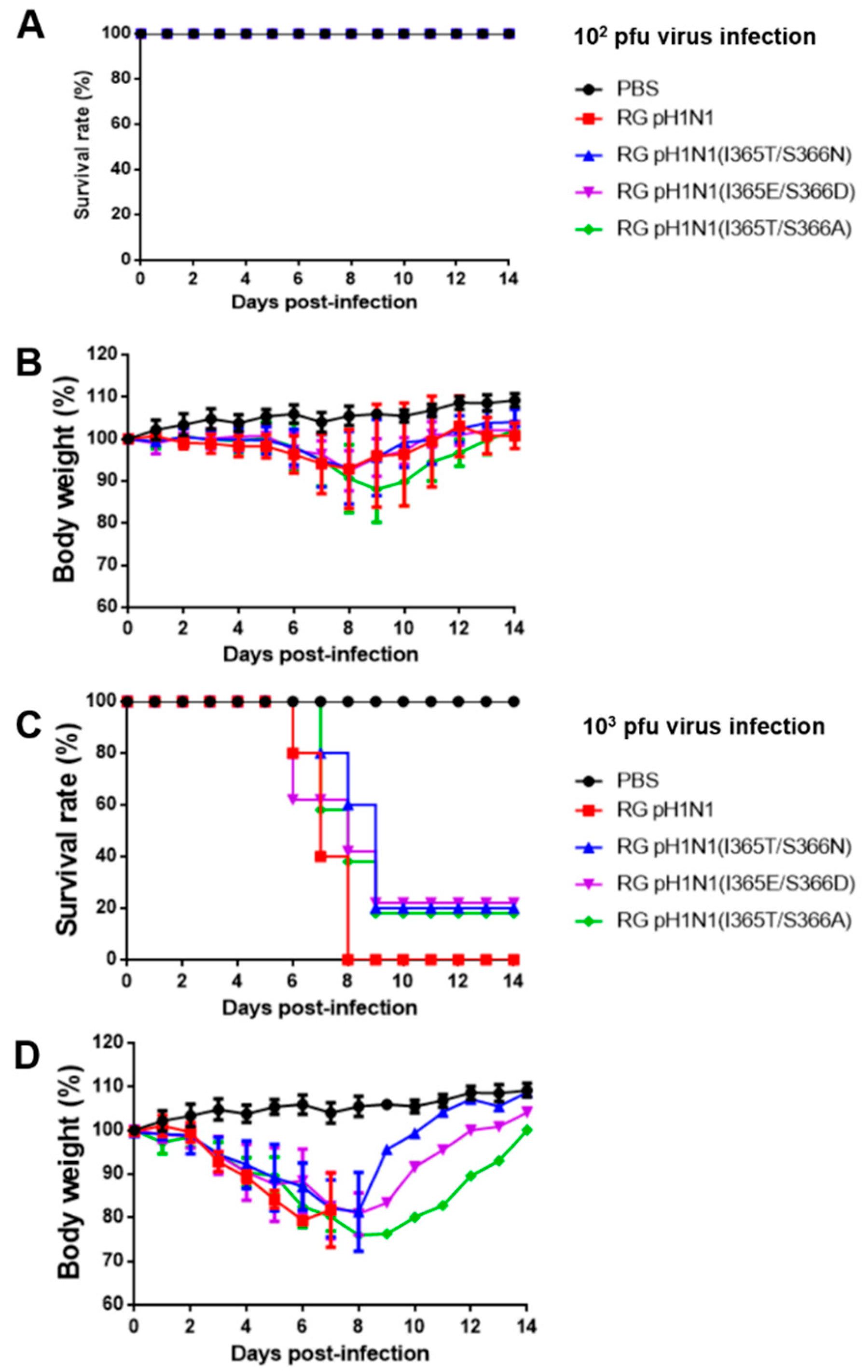 Viruses 14 01304 g005