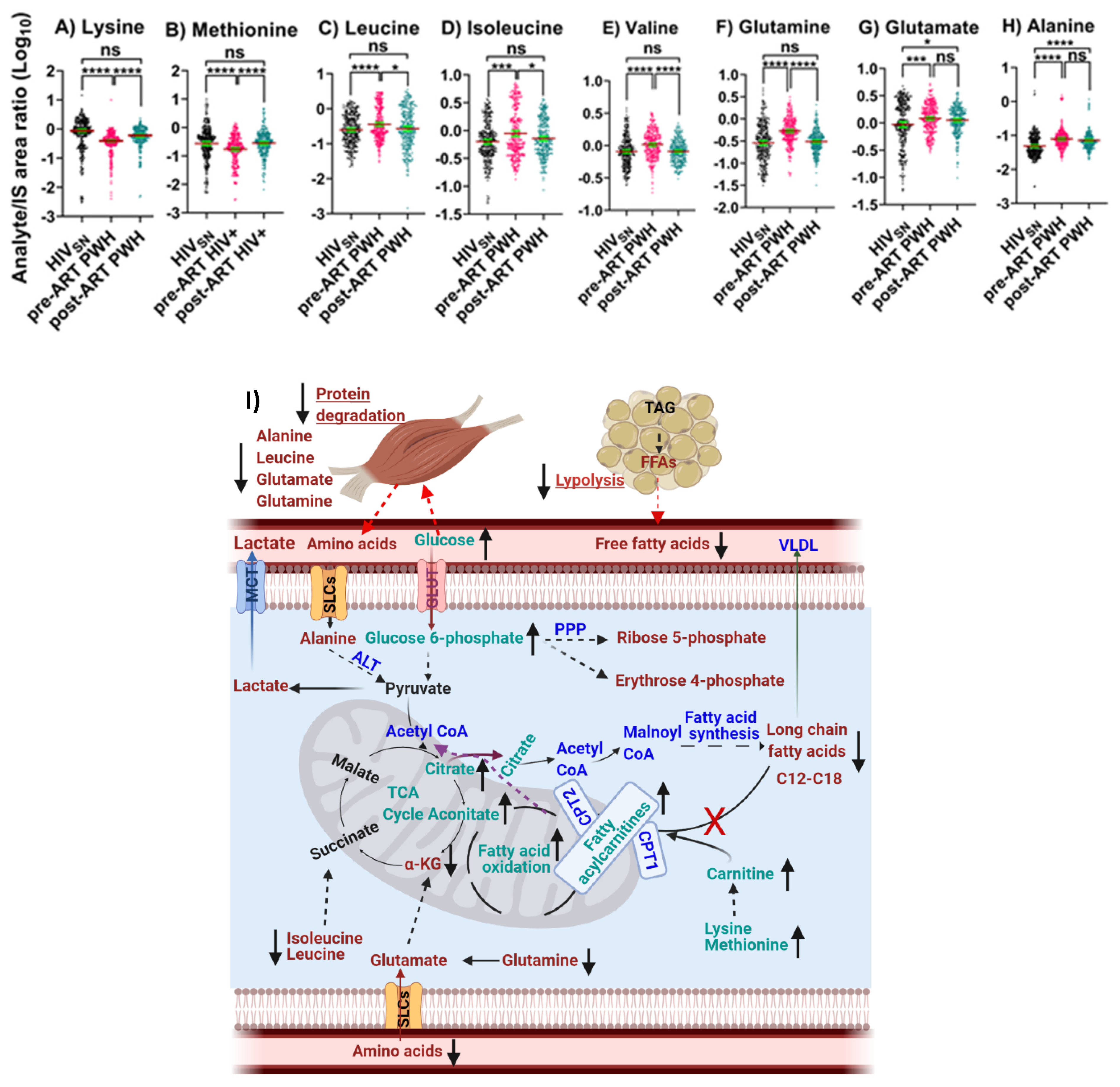 Viruses 14 01313 g005 Viruses 14 01313 g005