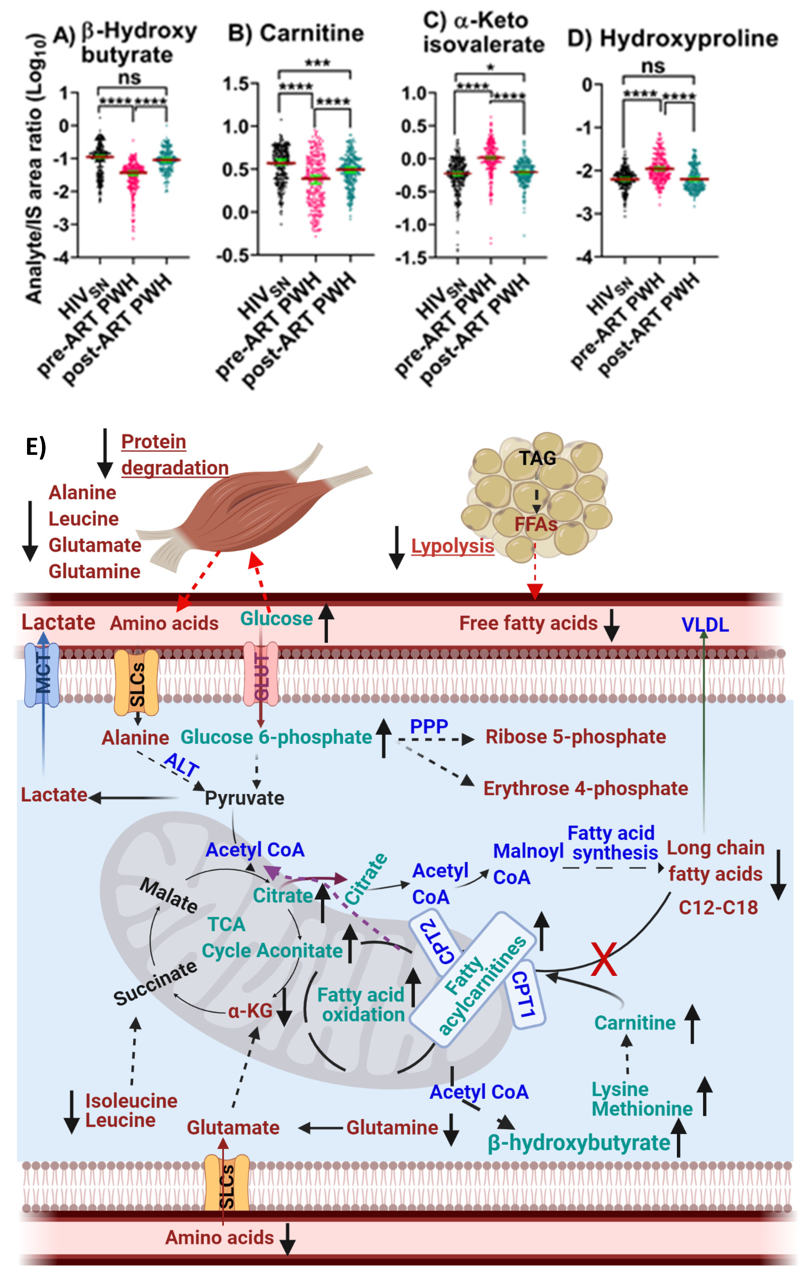 Viruses 14 01313 g006 Viruses 14 01313 g006