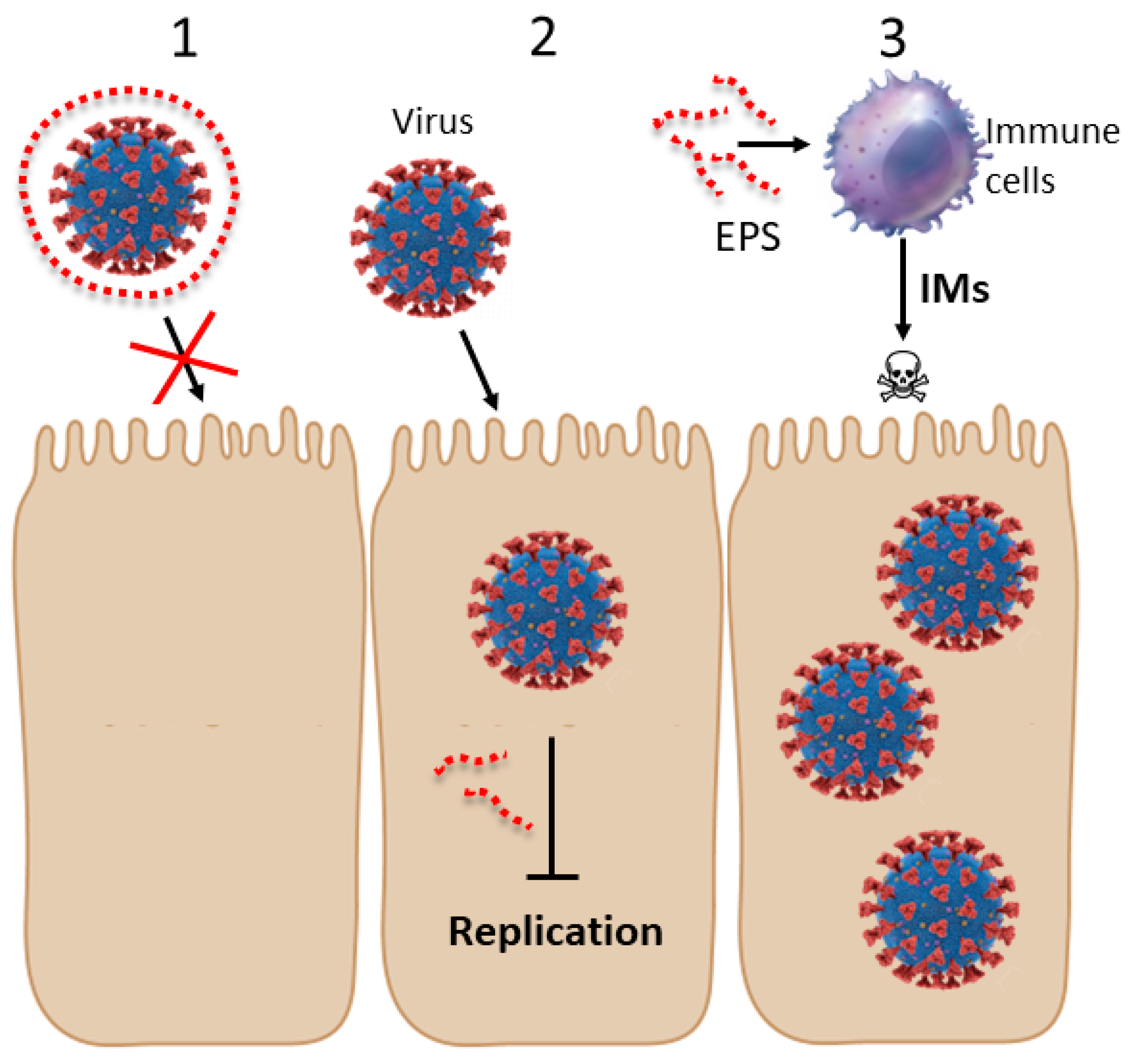 Viruses | Free Full-Text | Extracellular Polymeric Substances: Still  Promising Antivirals
