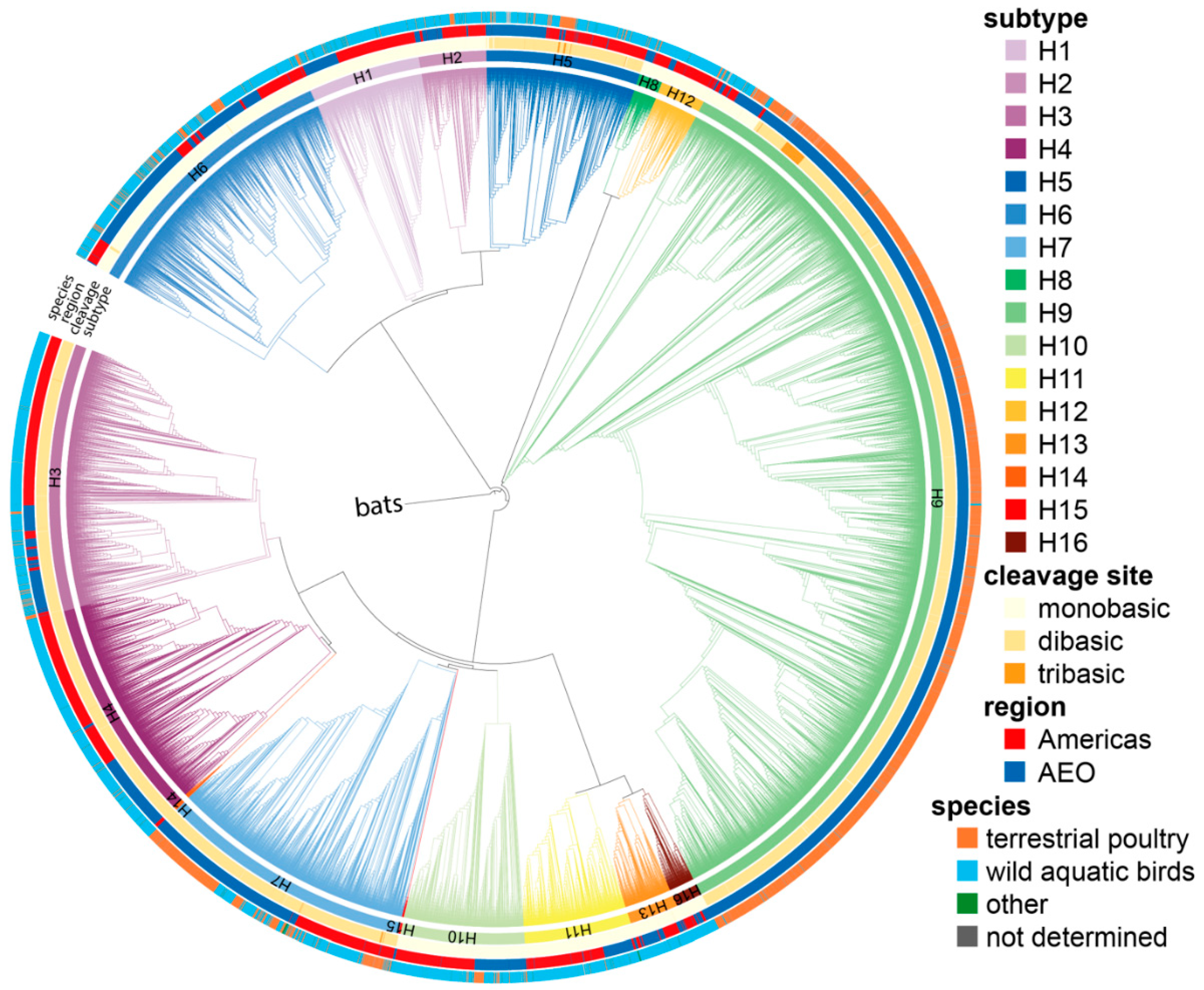 Viruses 14 01352 g001