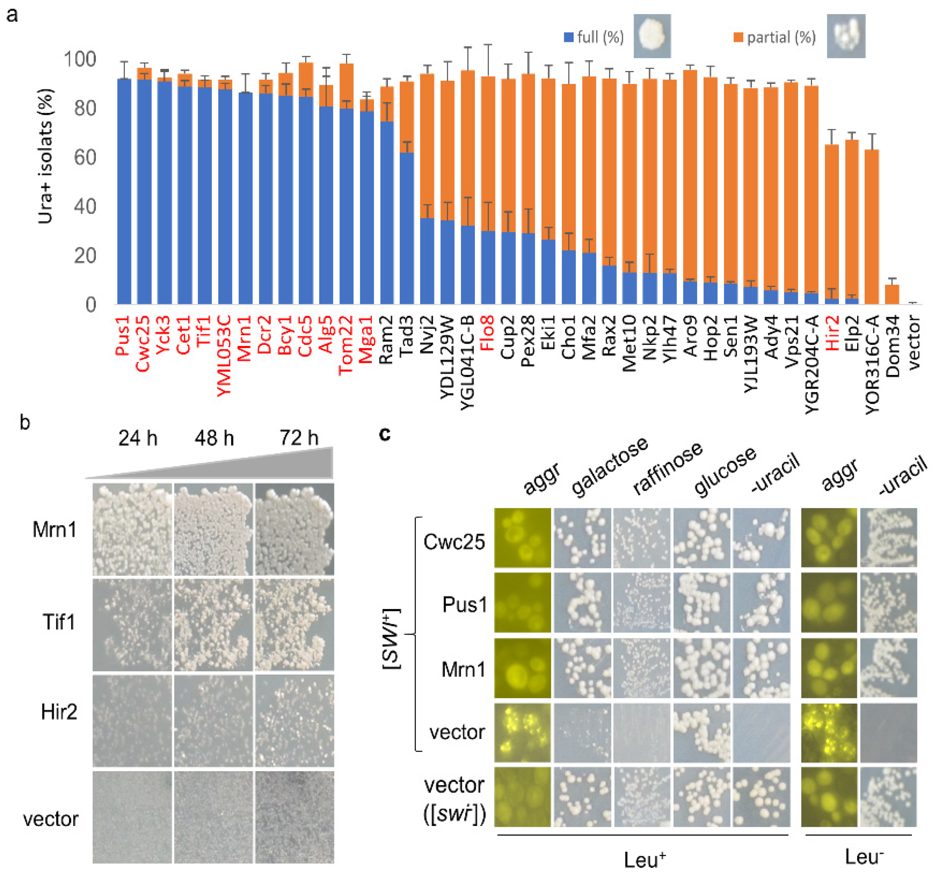 Viruses 14 01366 g002 Viruses 14 01366 g002