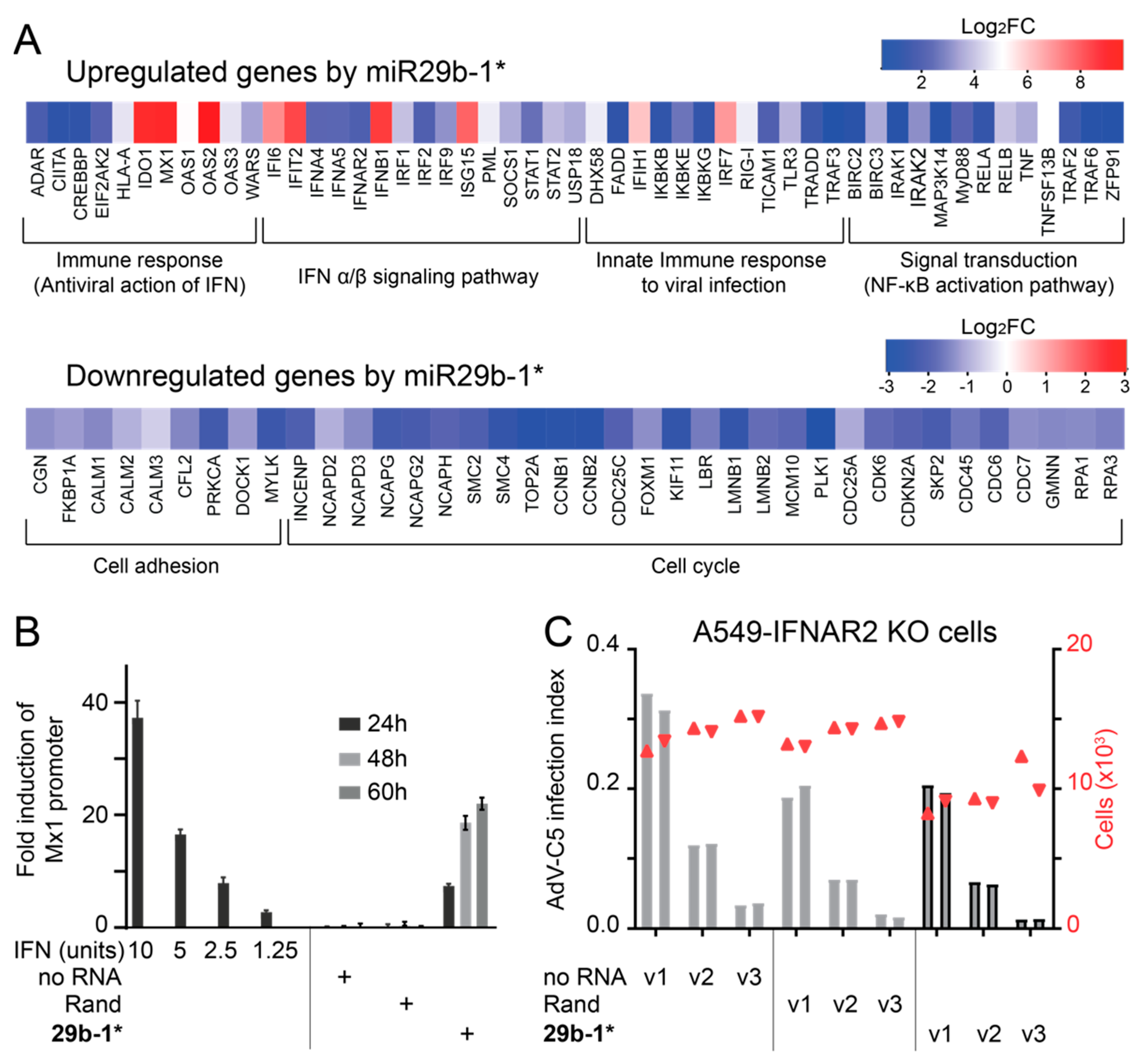 Viruses 14 01407 g003