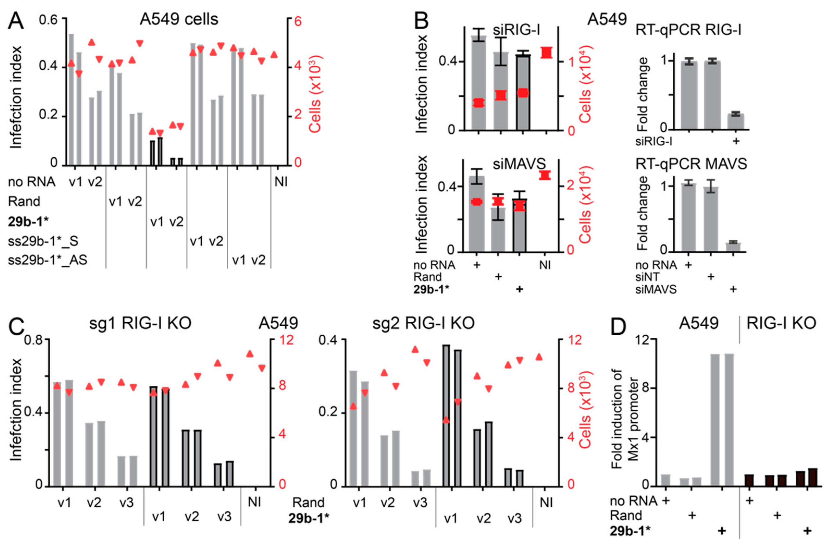 Viruses 14 01407 g004