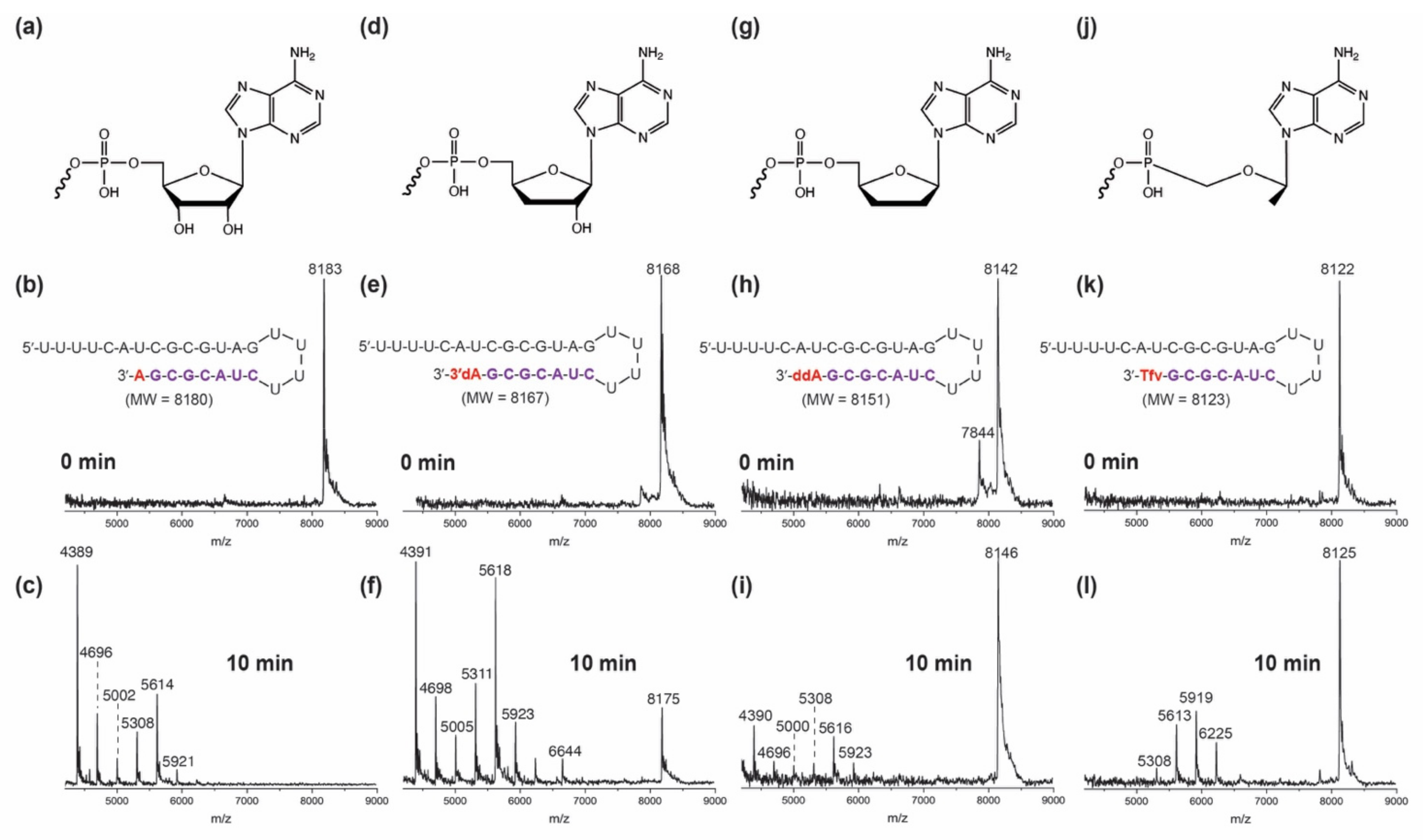 Viruses 14 01413 g002