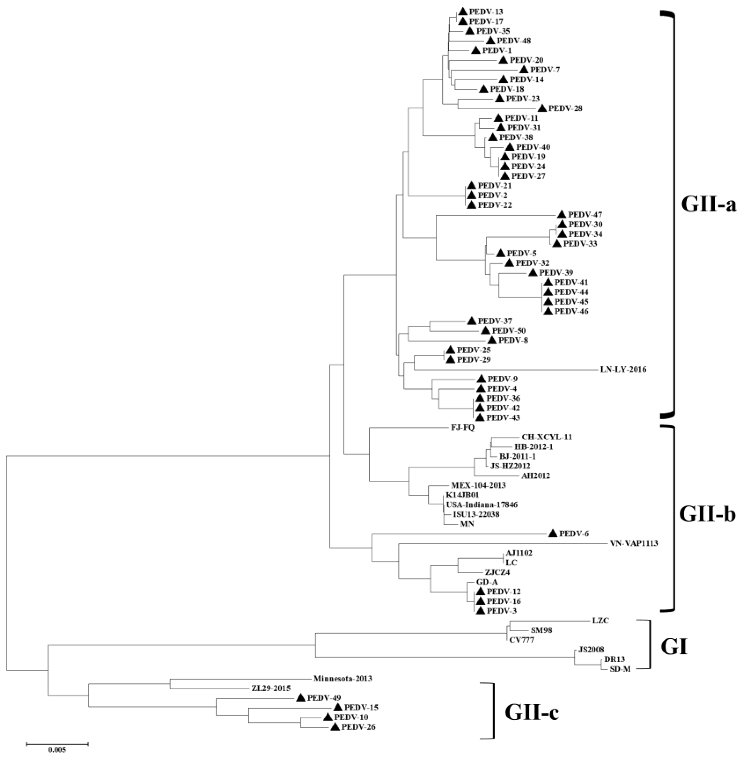 Viruses 14 01420 g003