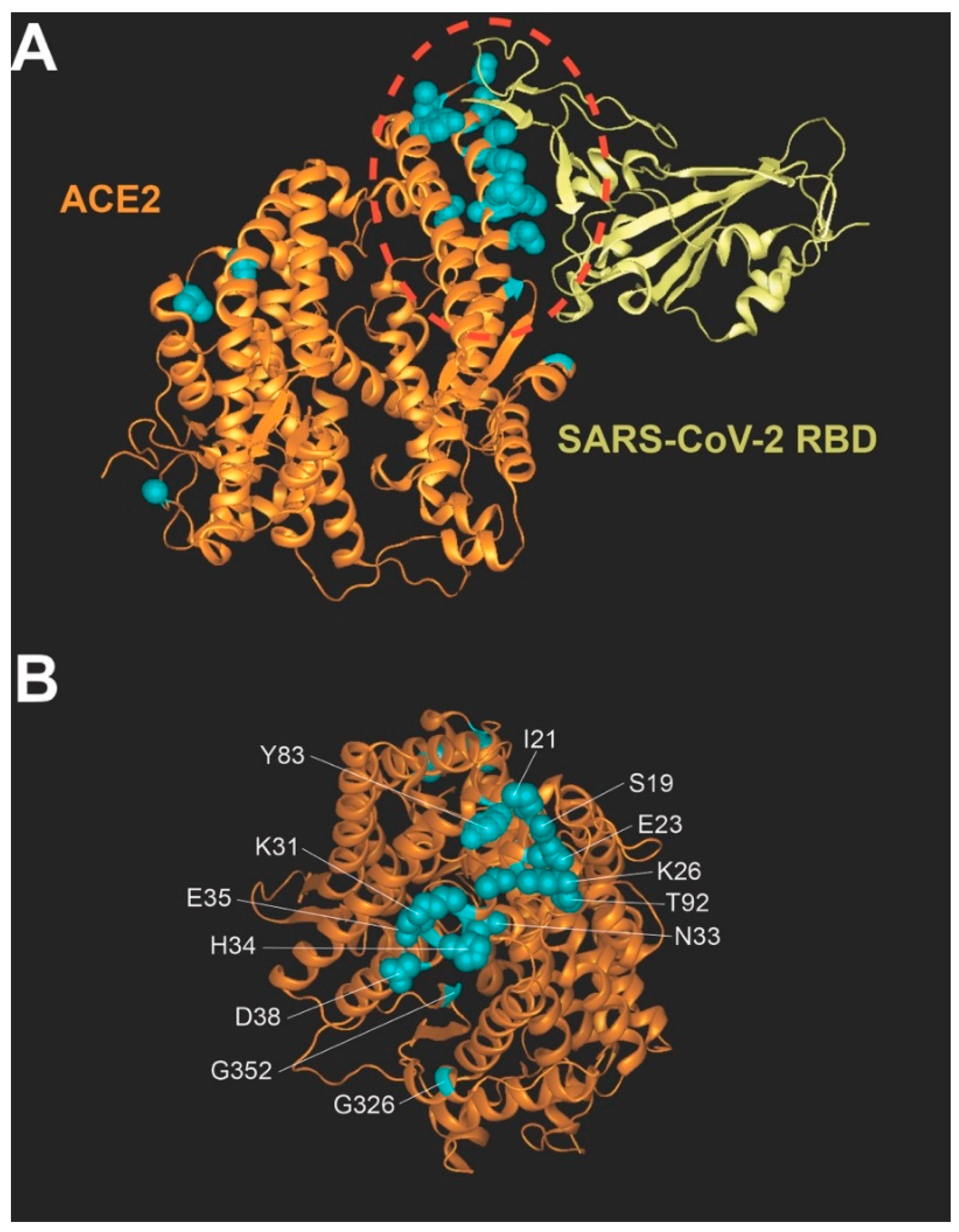 Viruses 14 01451 g001
