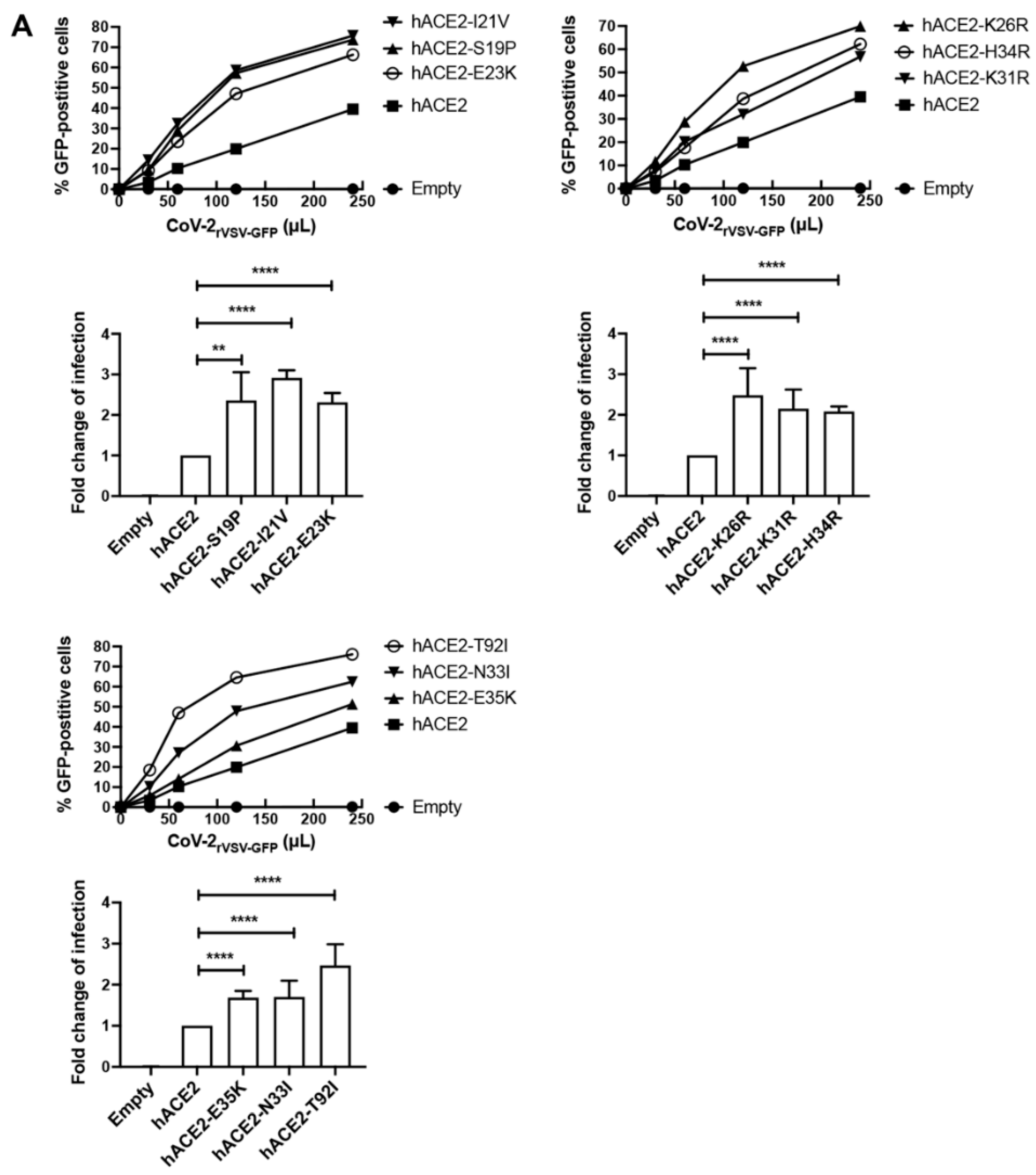 Viruses 14 01451 g002a