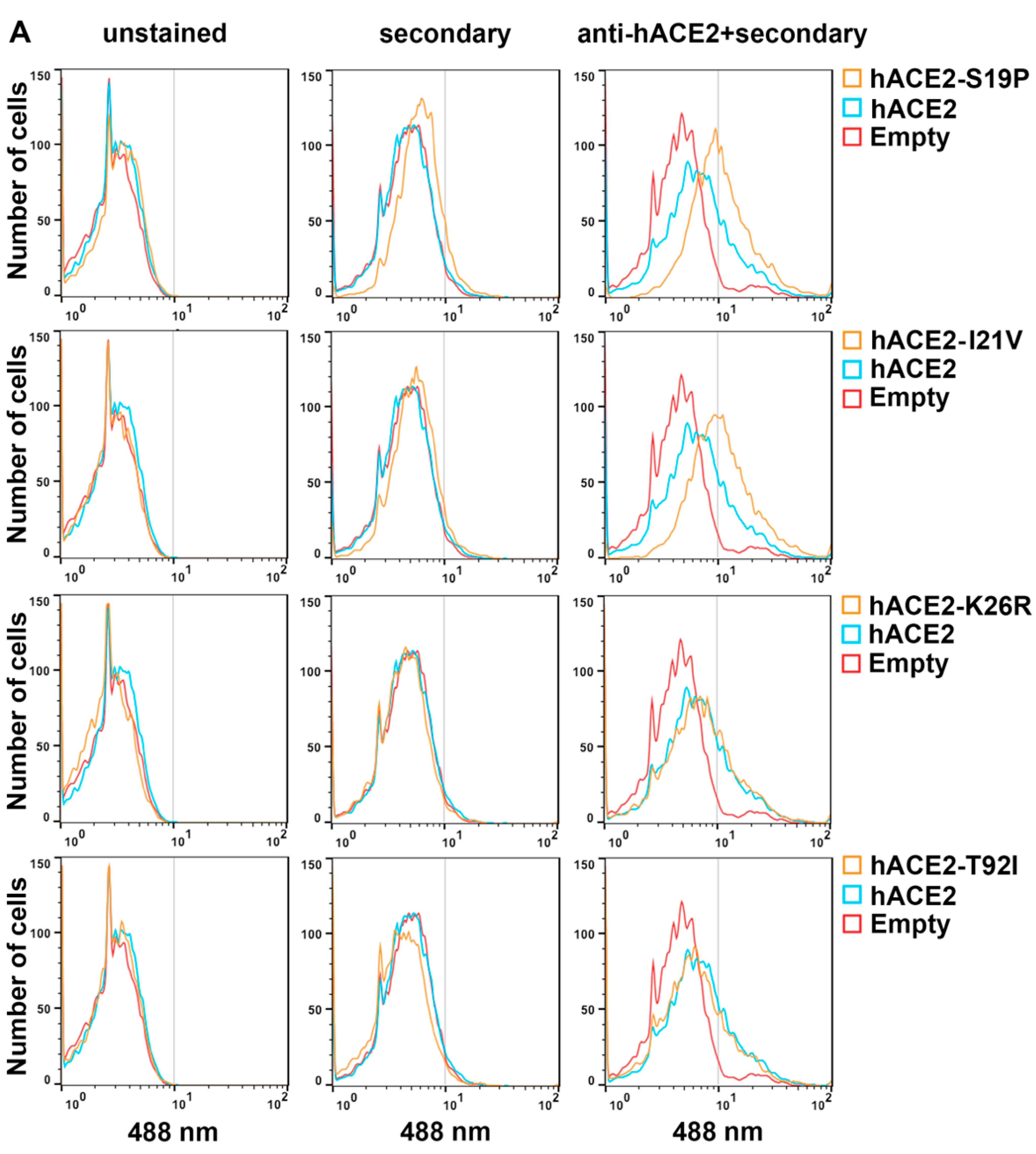 Viruses 14 01451 g003a