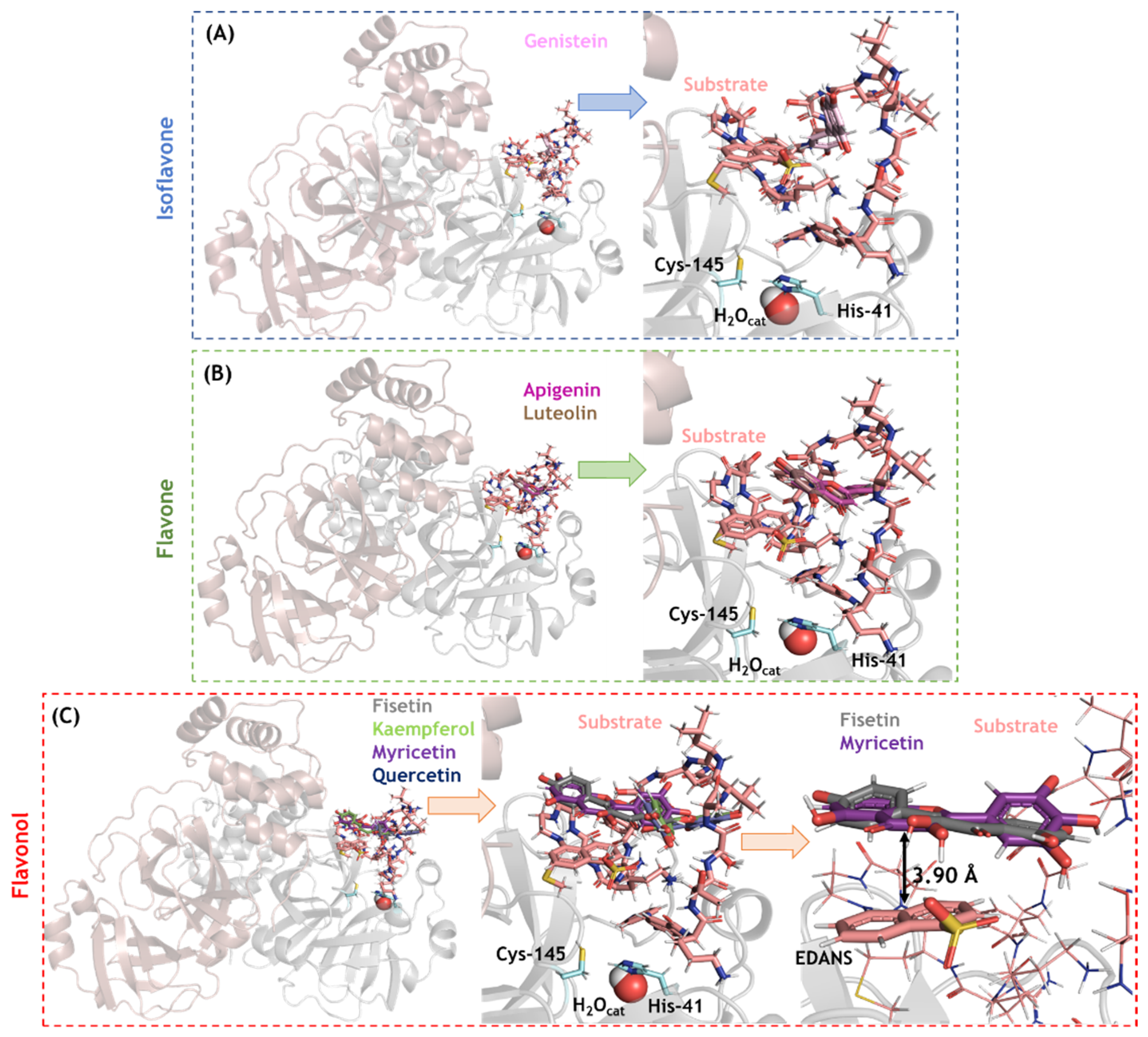 Viruses 14 01458 g007