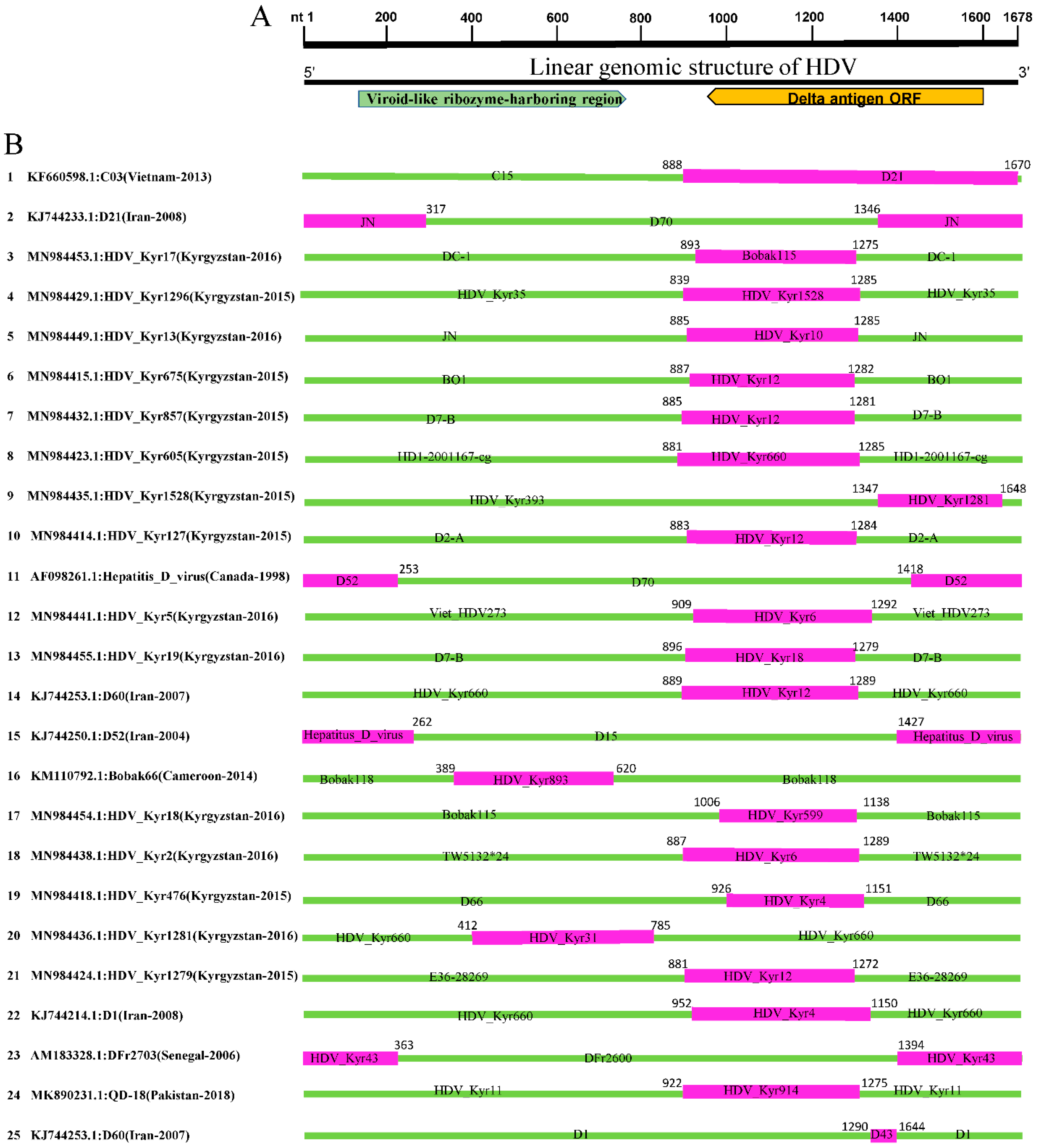 Viruses 14 01467 g003 Viruses 14 01467 g003