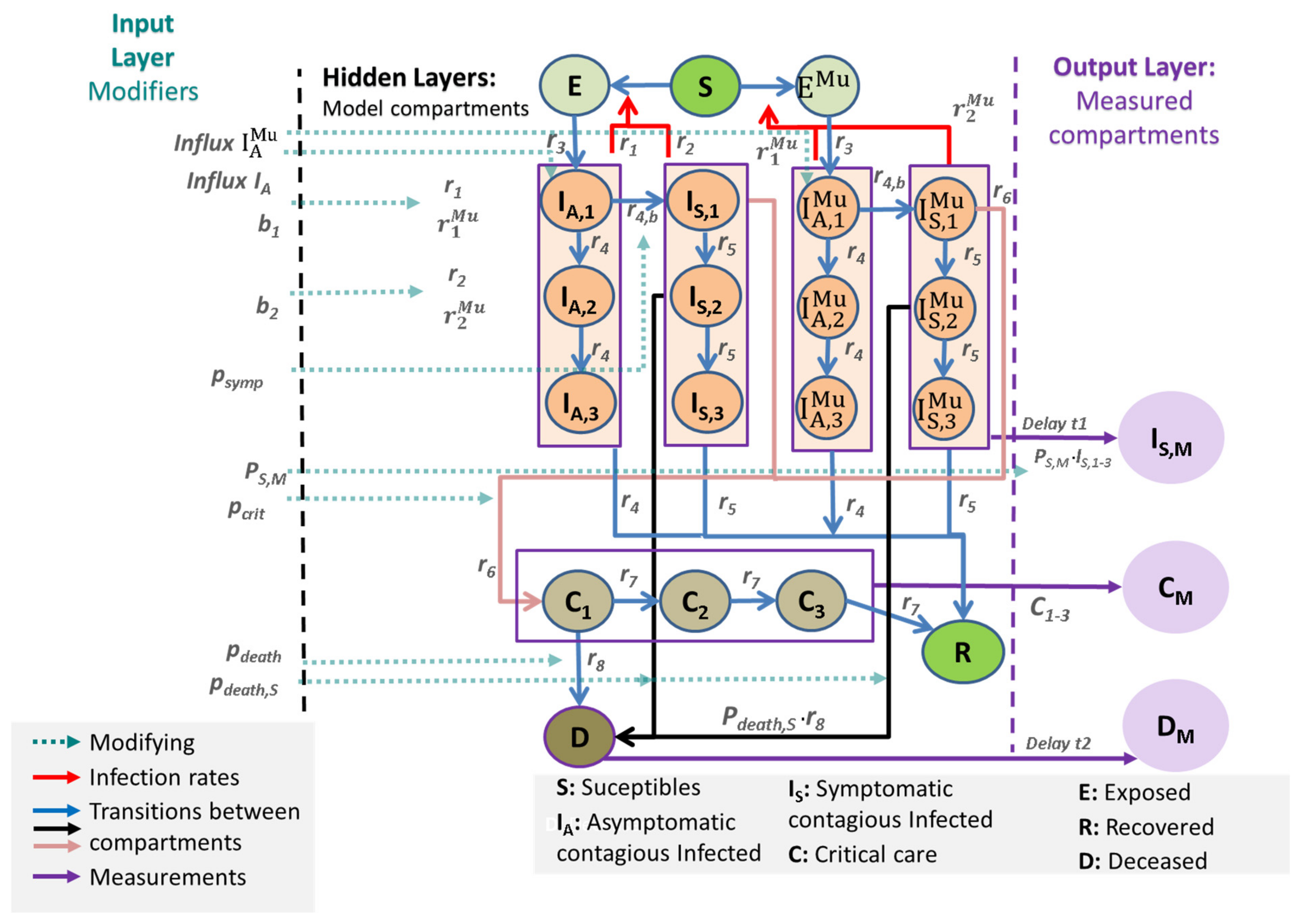 Viruses 14 01468 g001