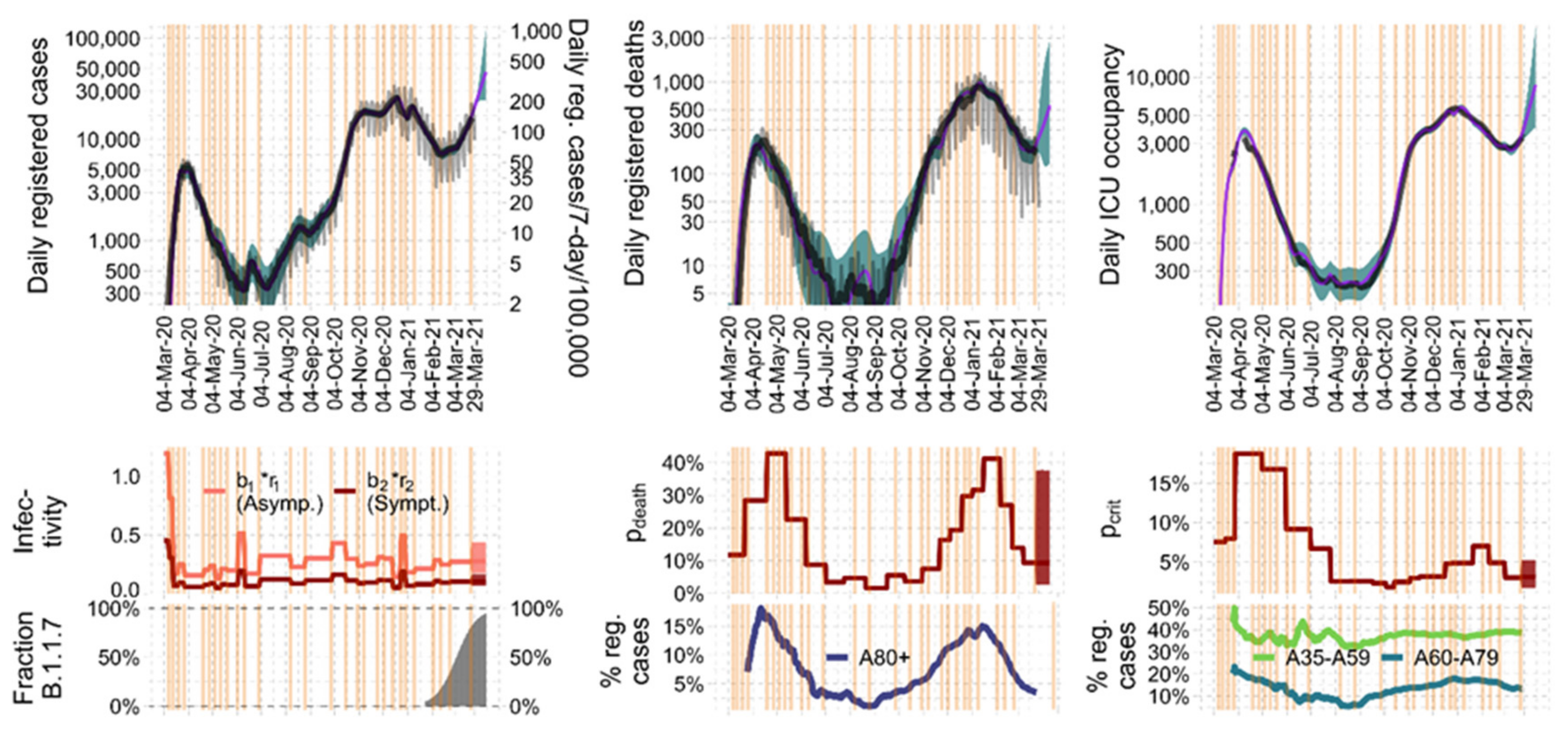 Viruses 14 01468 g002