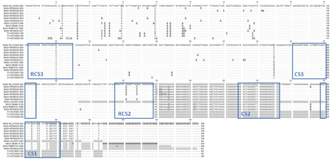 Viruses 14 01476 g002