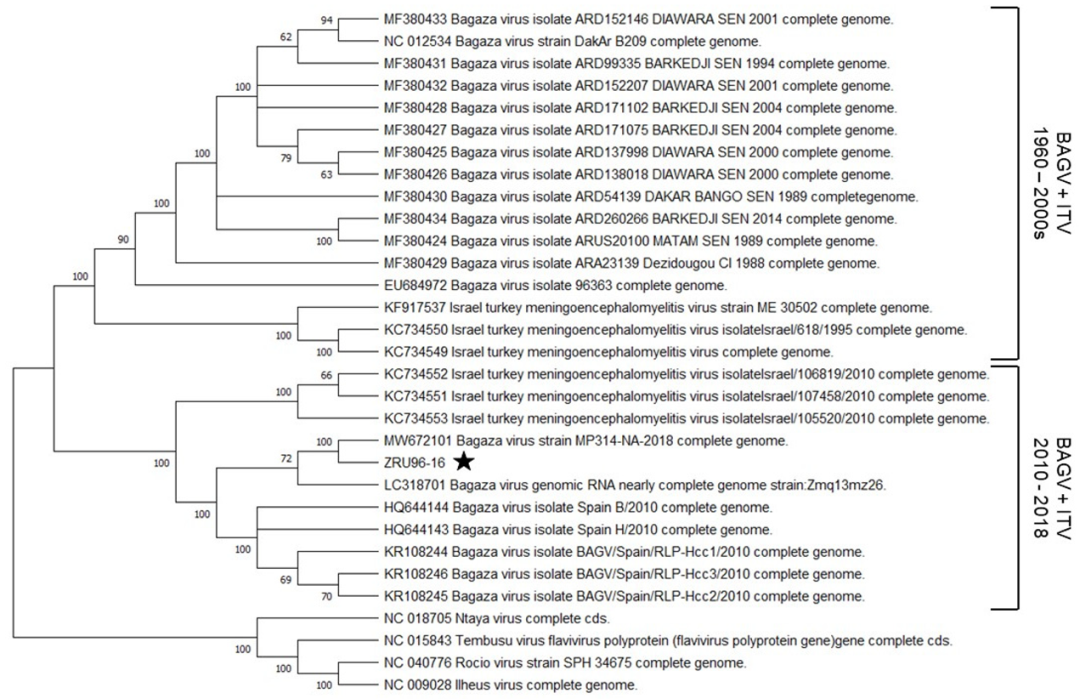 Viruses 14 01476 g003