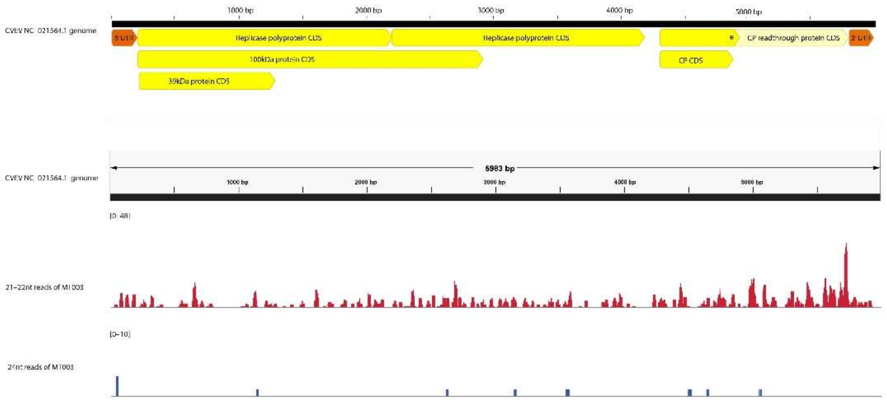 Viruses 14 01480 g003