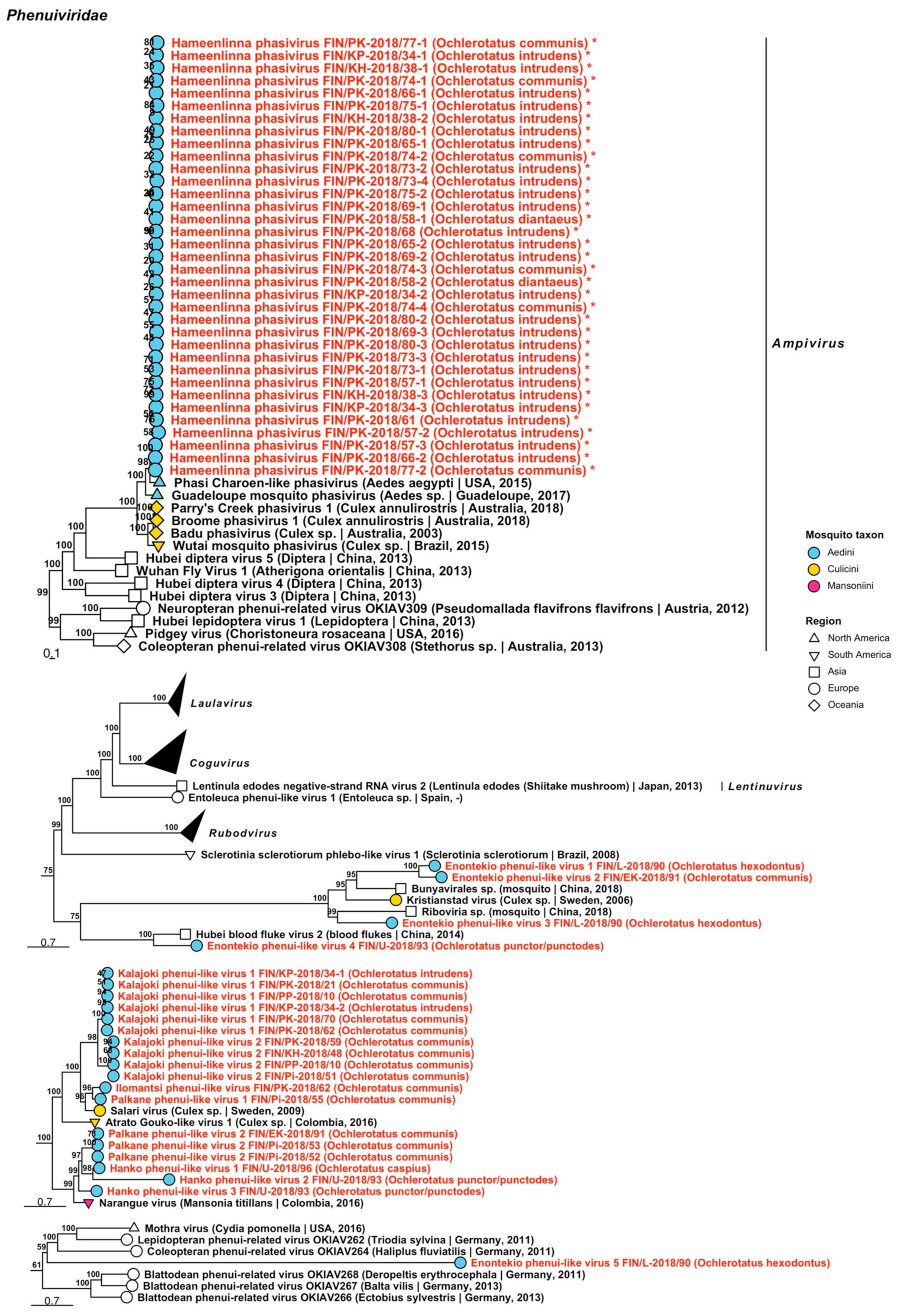 Viruses 14 01489 g012 Viruses 14 01489 g012