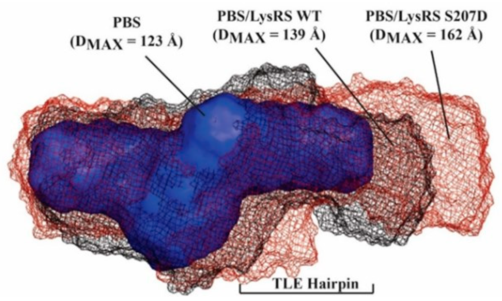 Viruses 14 01556 g002