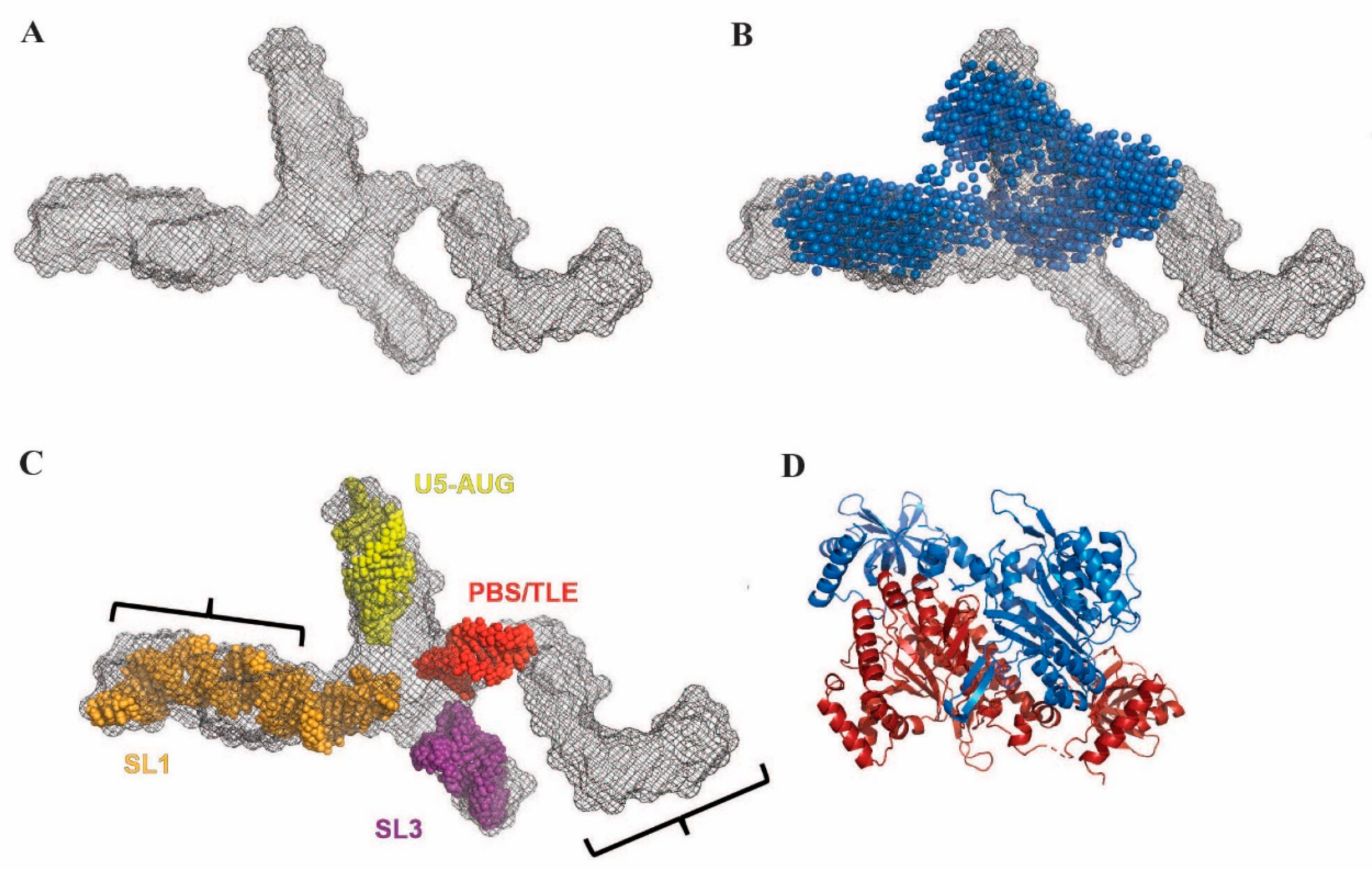 Viruses 14 01556 g004