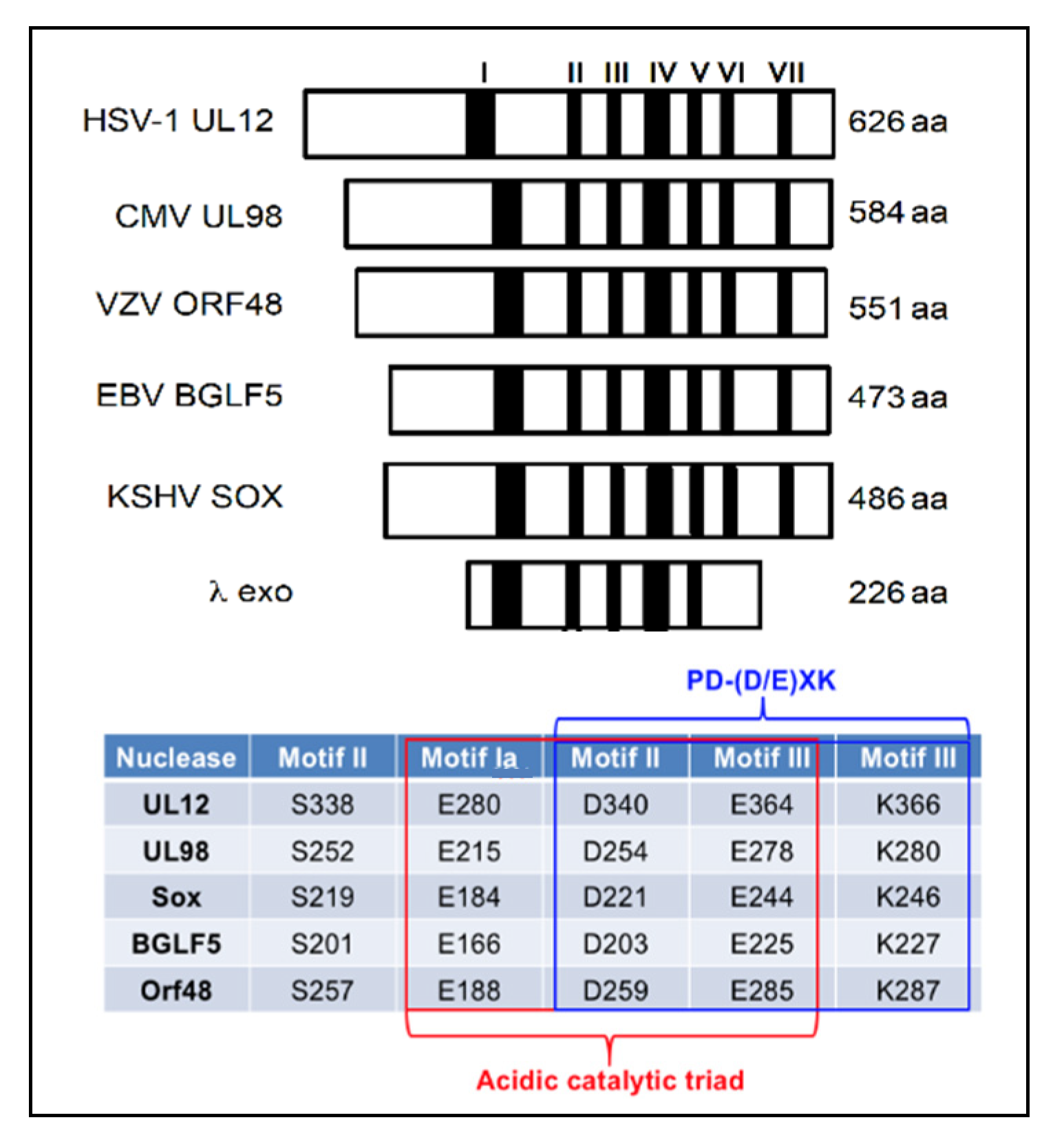 Viruses 14 01557 g002