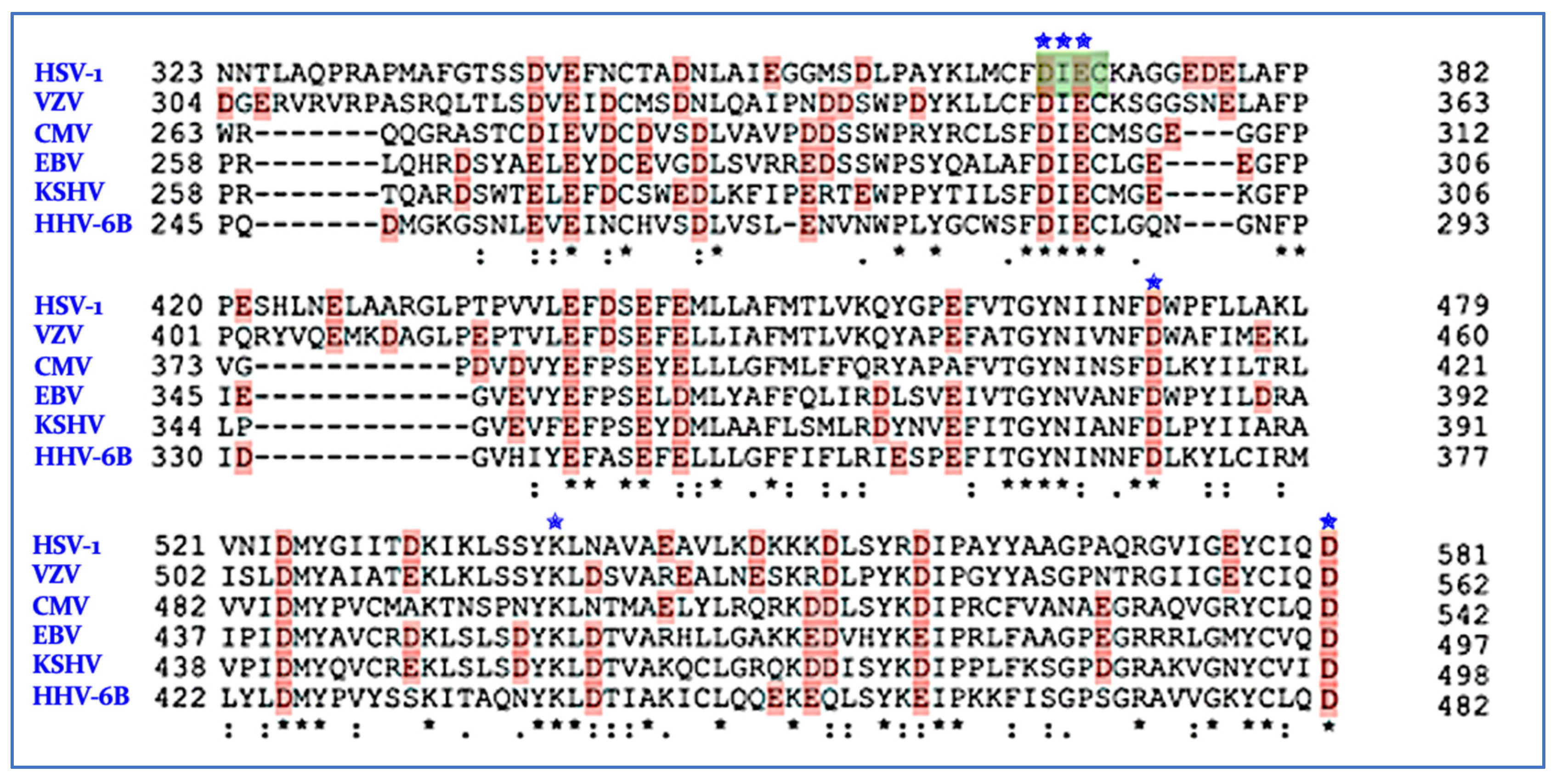 Viruses 14 01557 g004