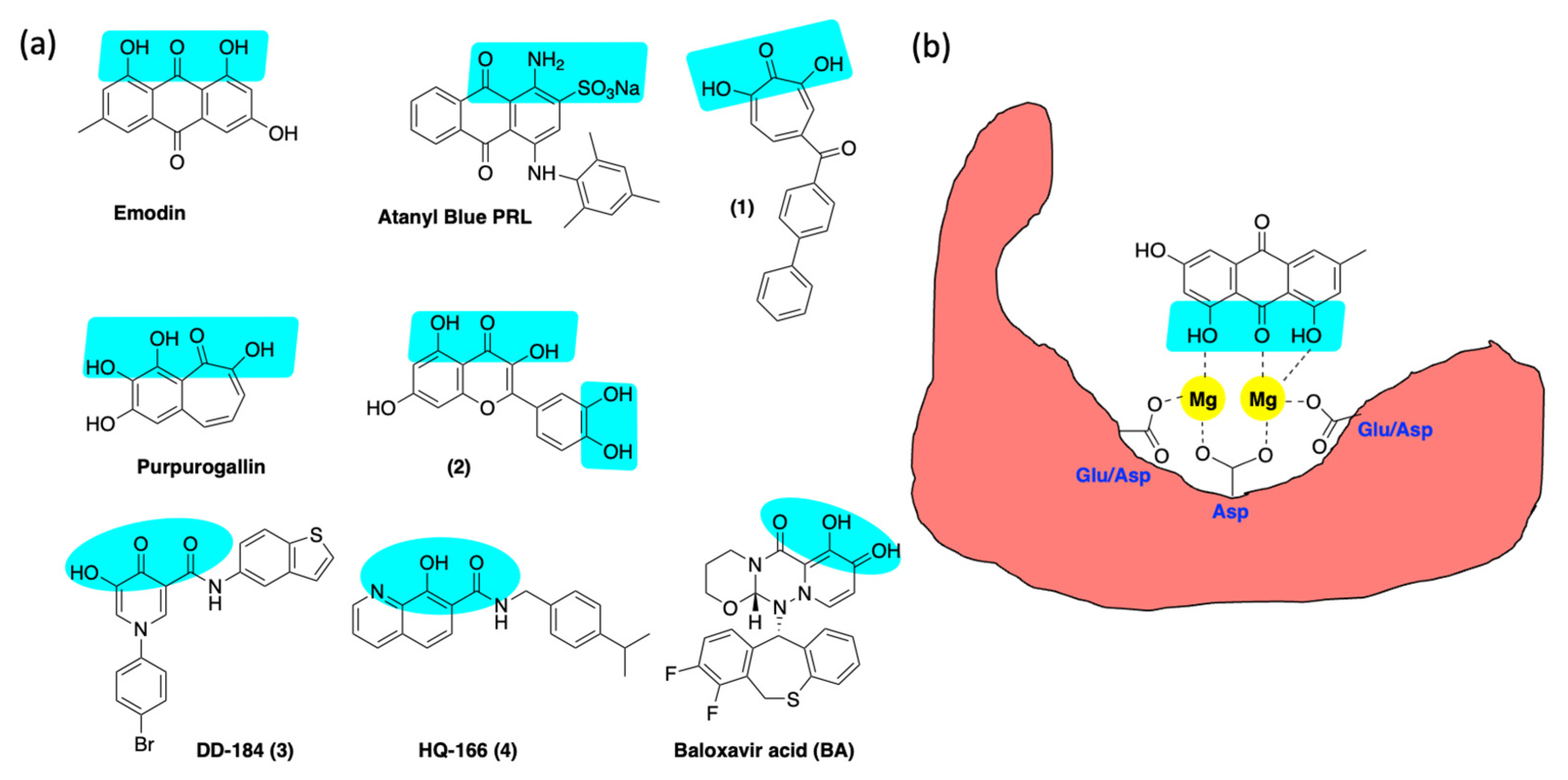 Viruses 14 01557 g005