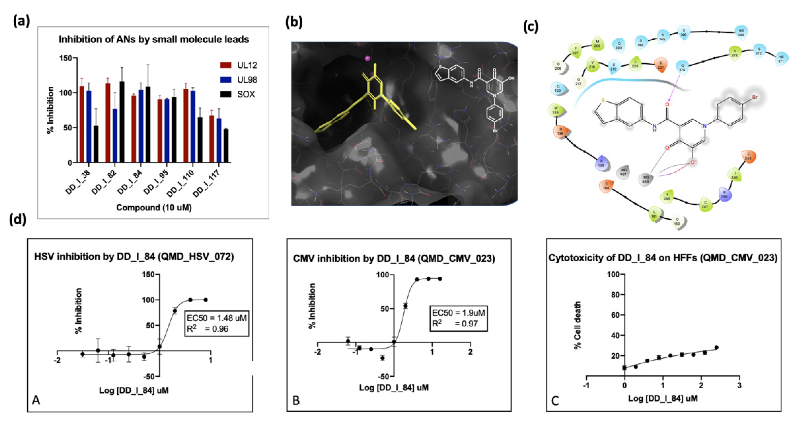 Viruses 14 01557 g006