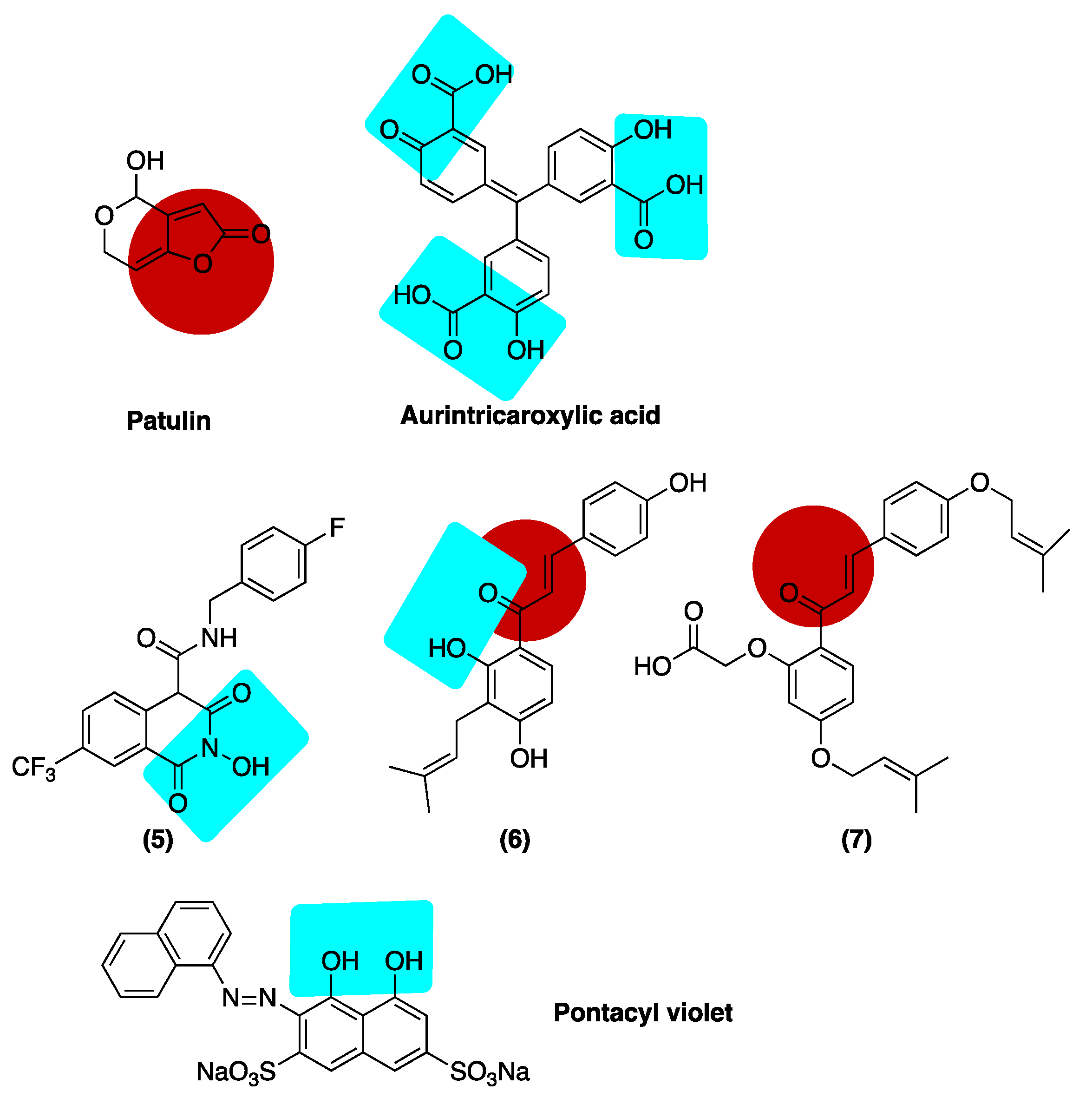 Viruses 14 01557 g008