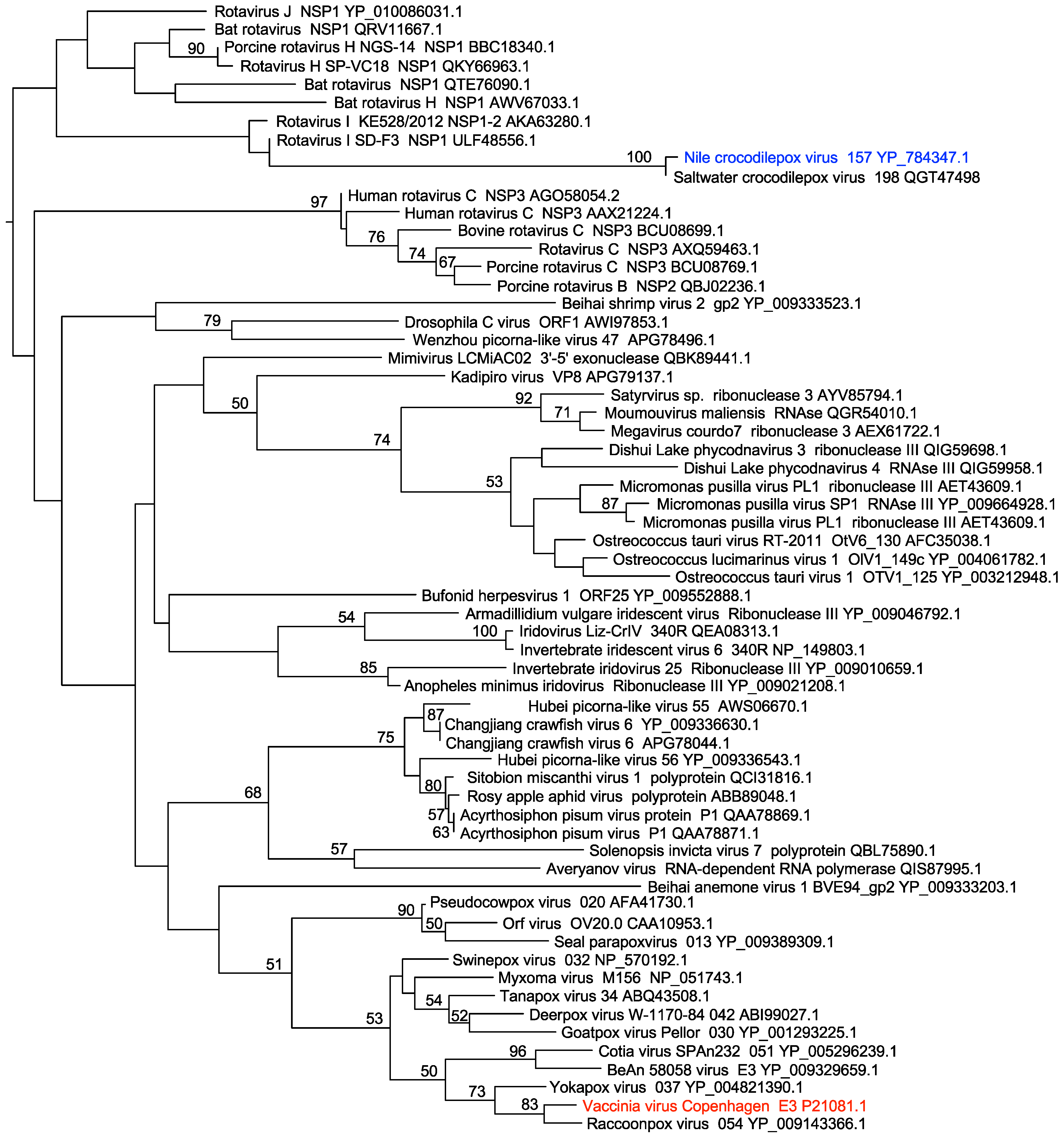 Viruses 14 01564 g001