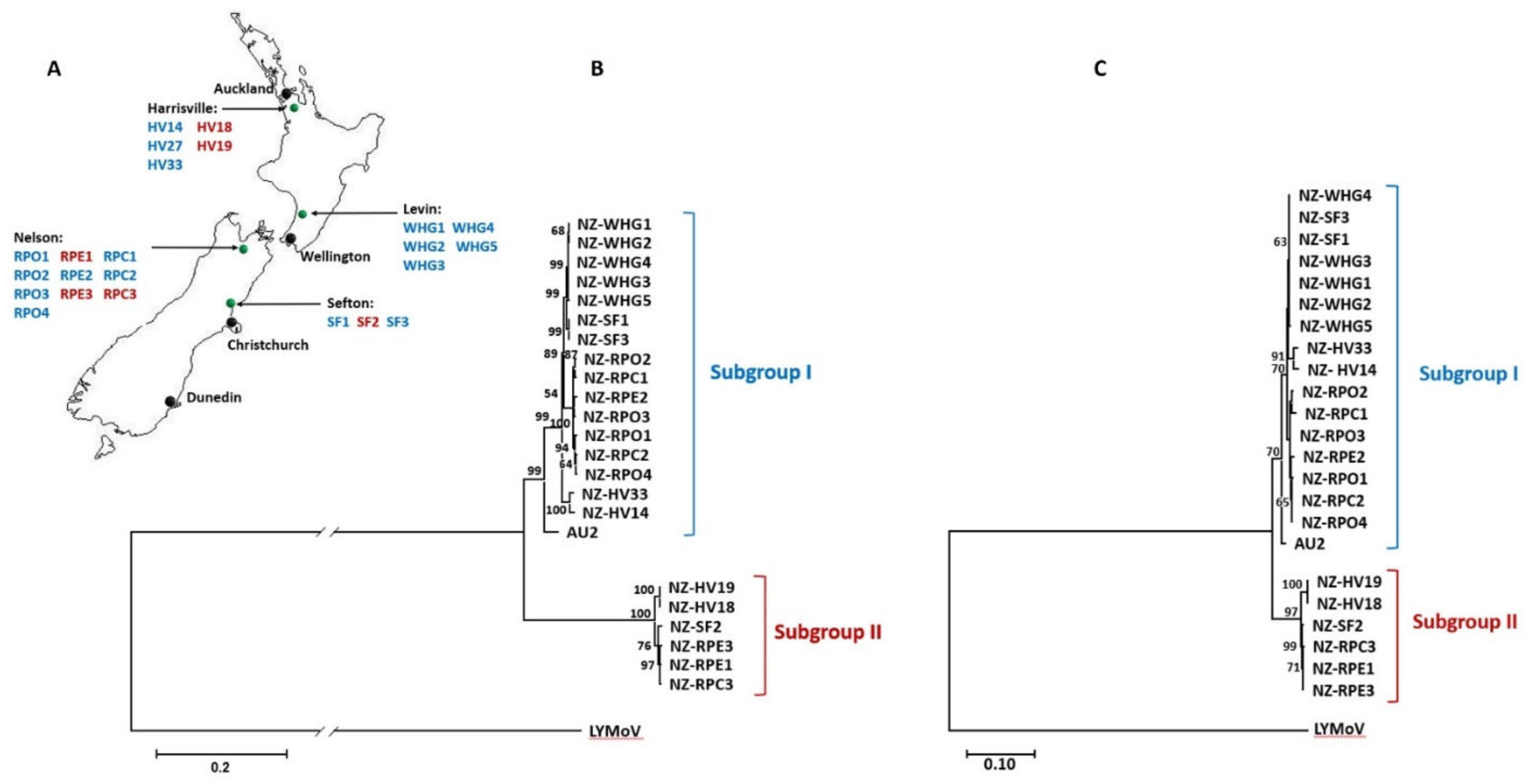 Viruses 14 01574 g001