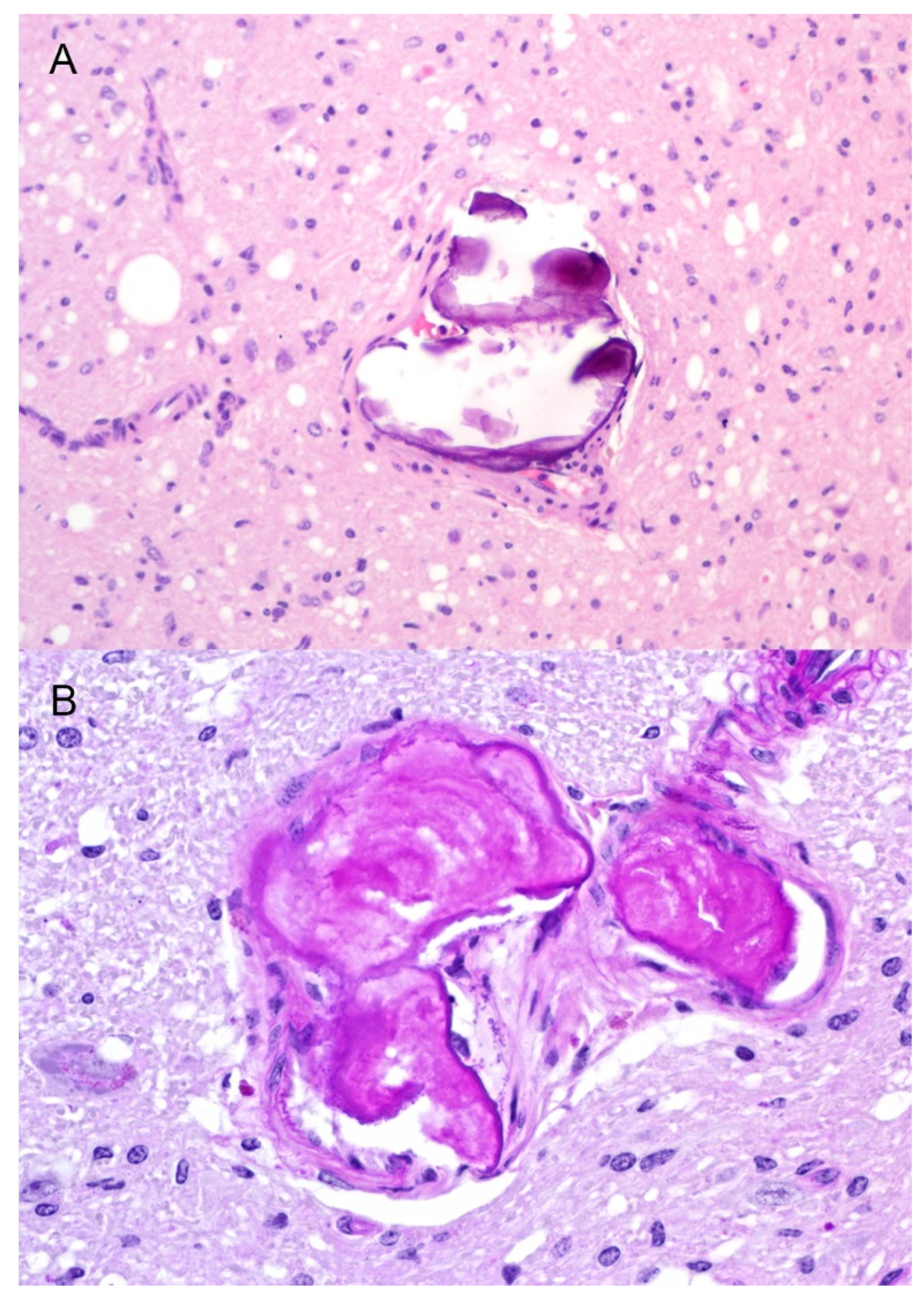 Viruses 14 01578 g006