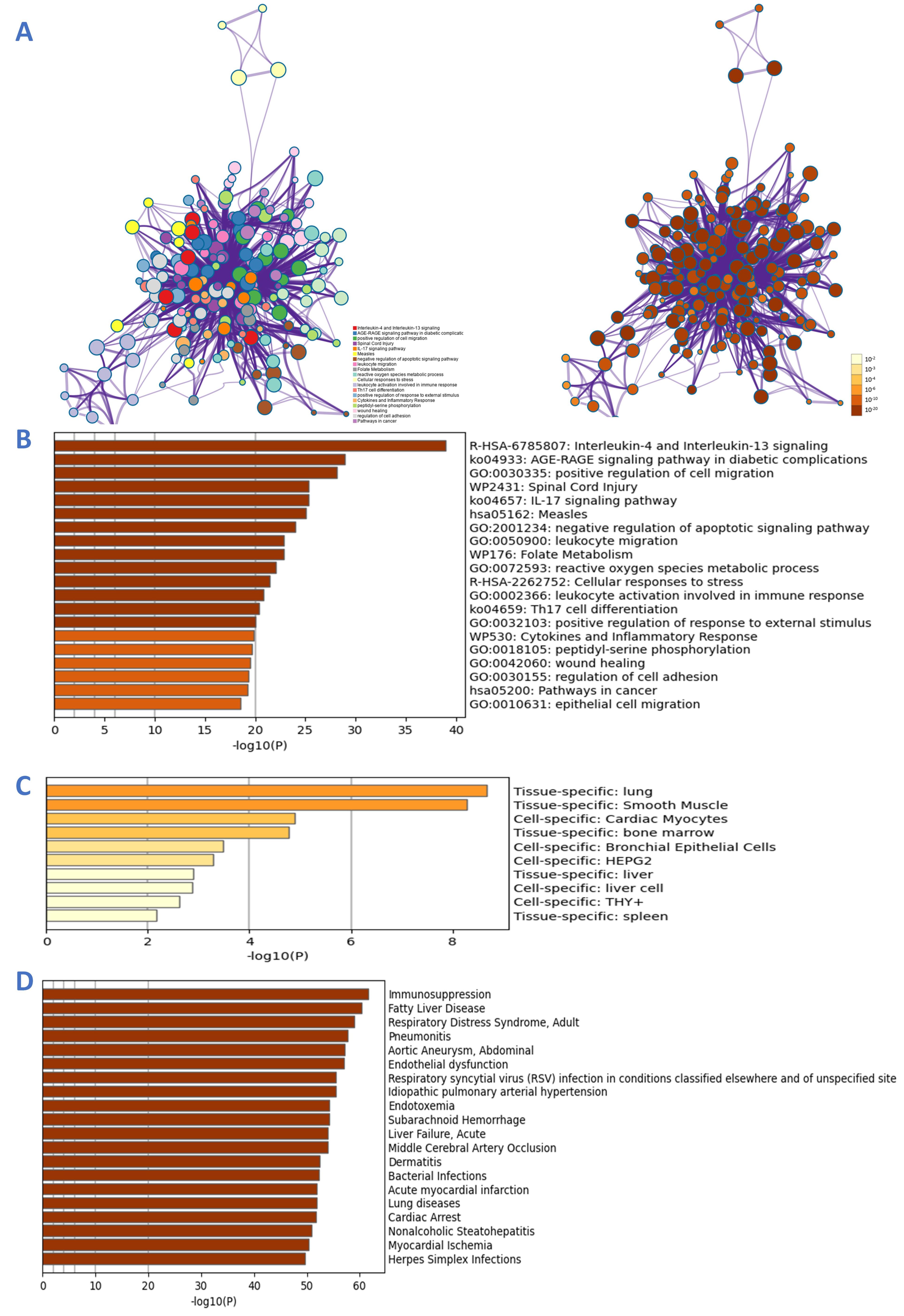 Viruses 14 01588 g004