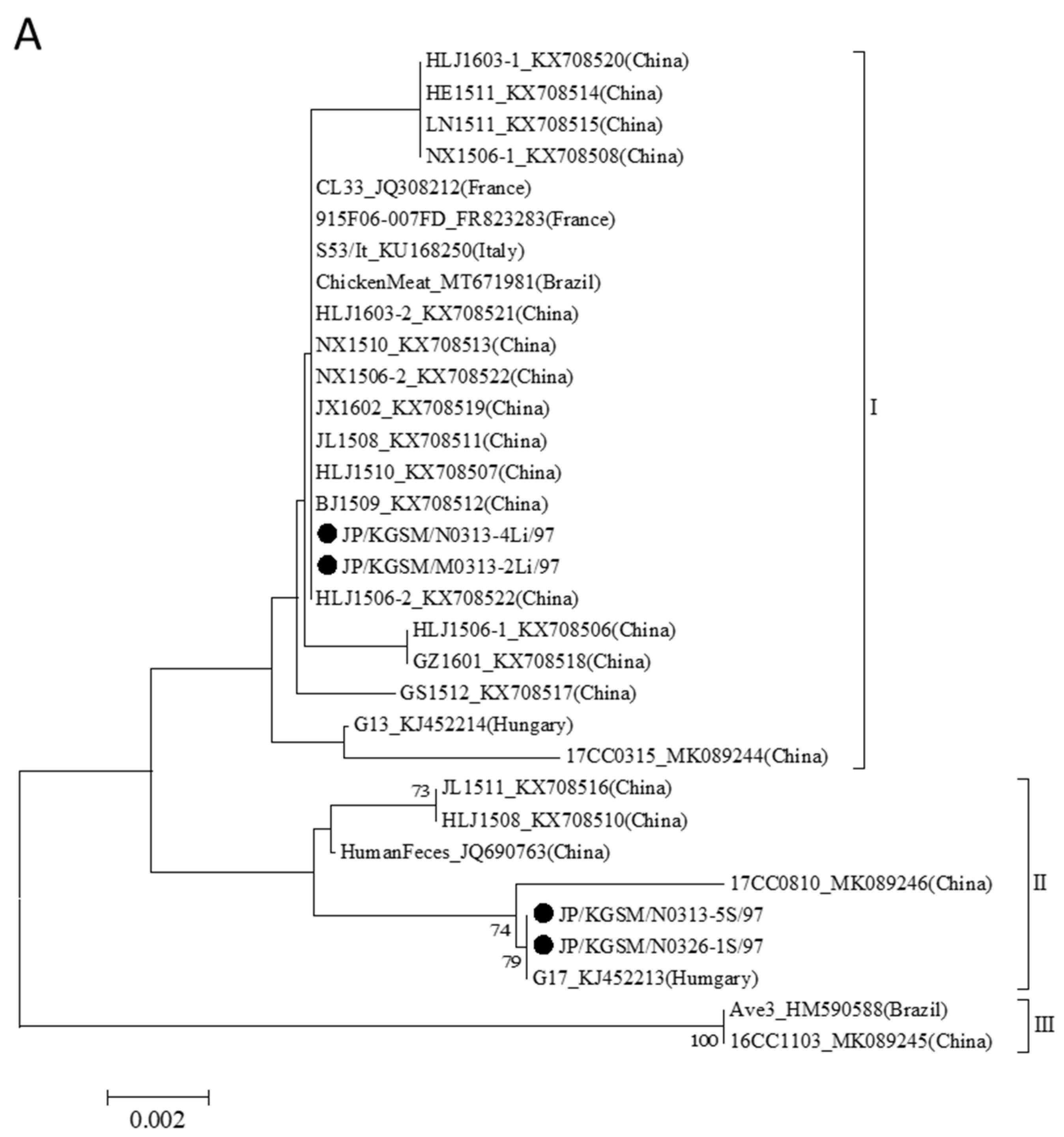Viruses 14 01590 g004a Viruses 14 01590 g004a