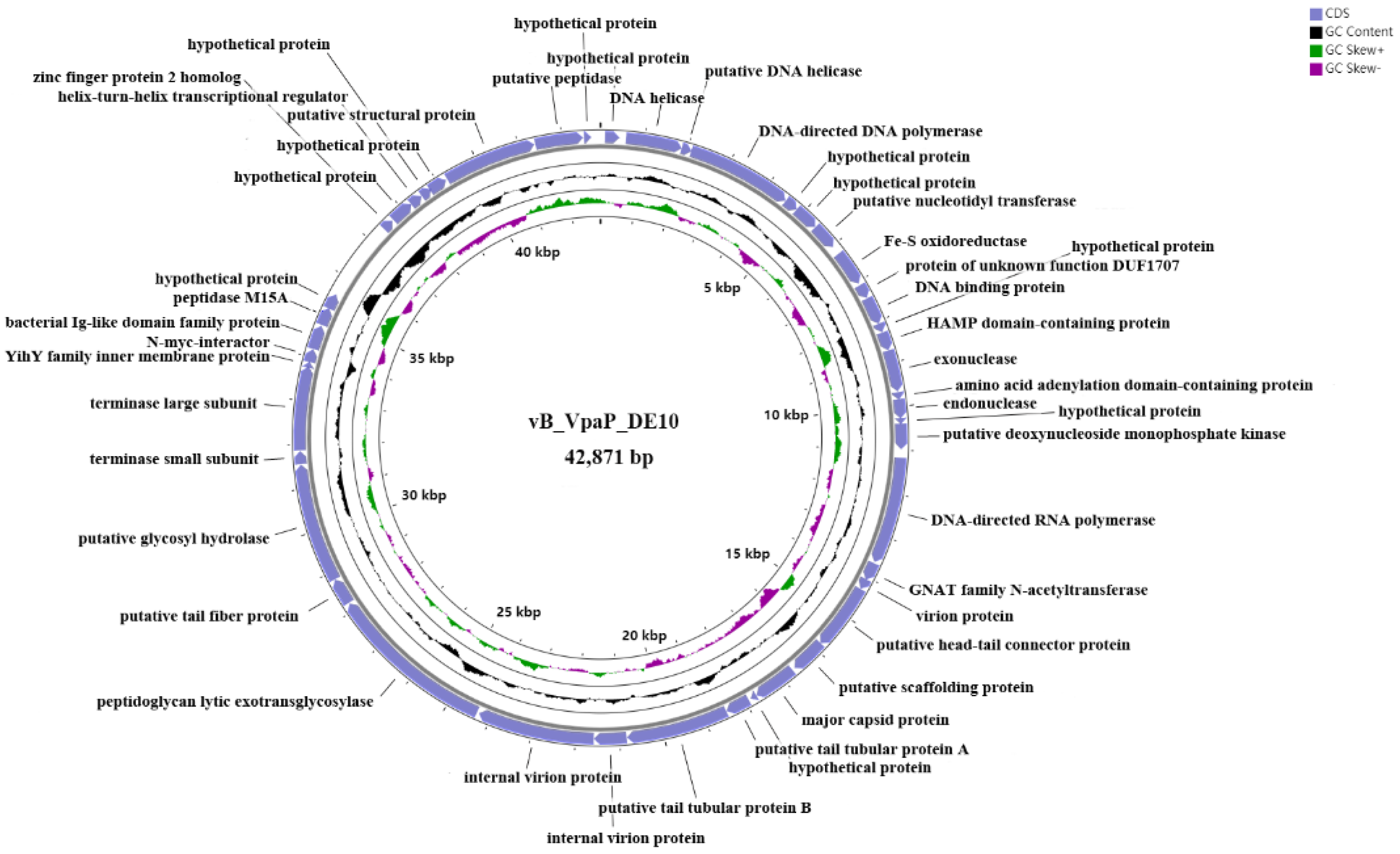 Viruses 14 01609 g004