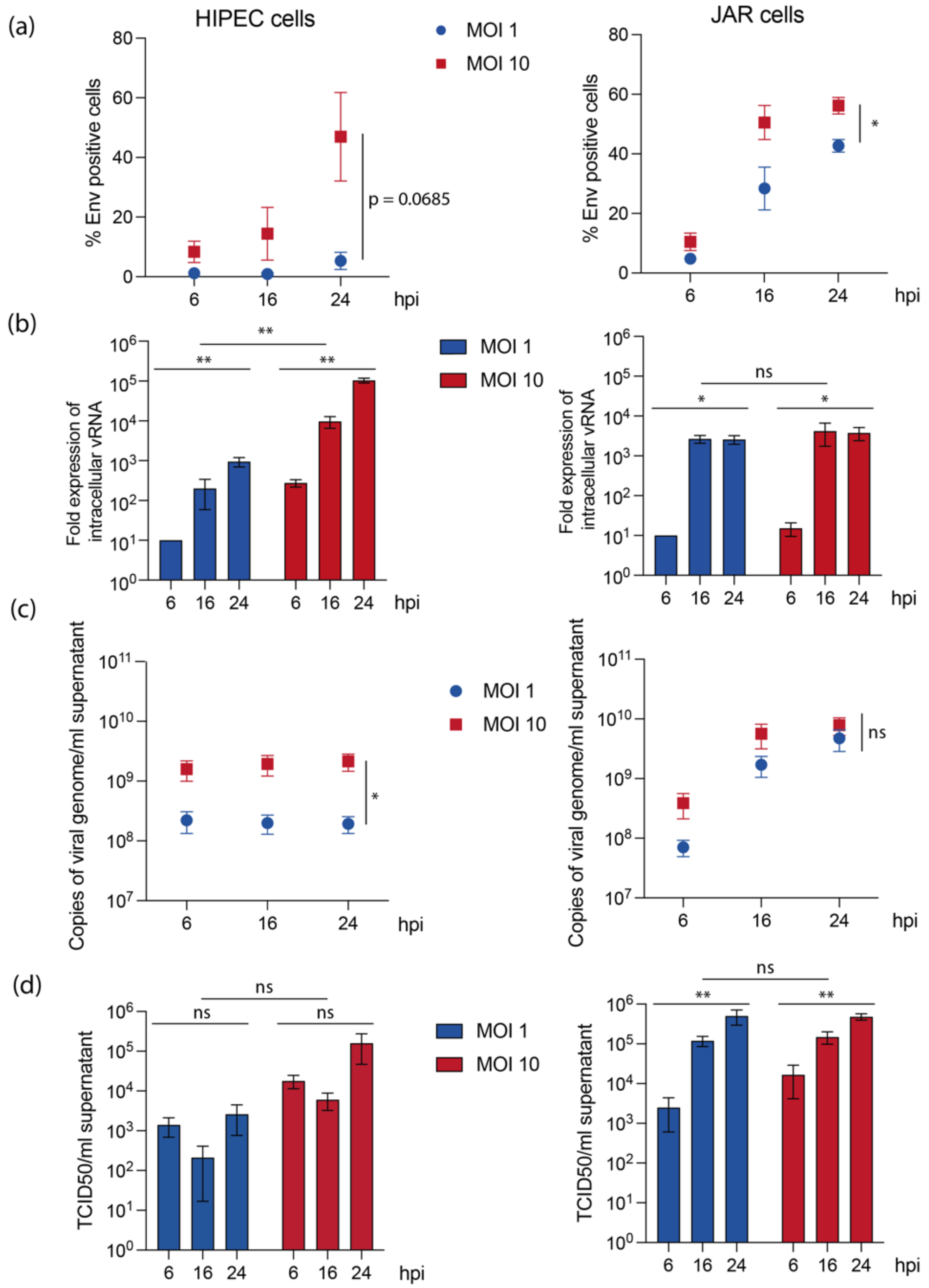 Viruses 14 01619 g002 Viruses 14 01619 g002