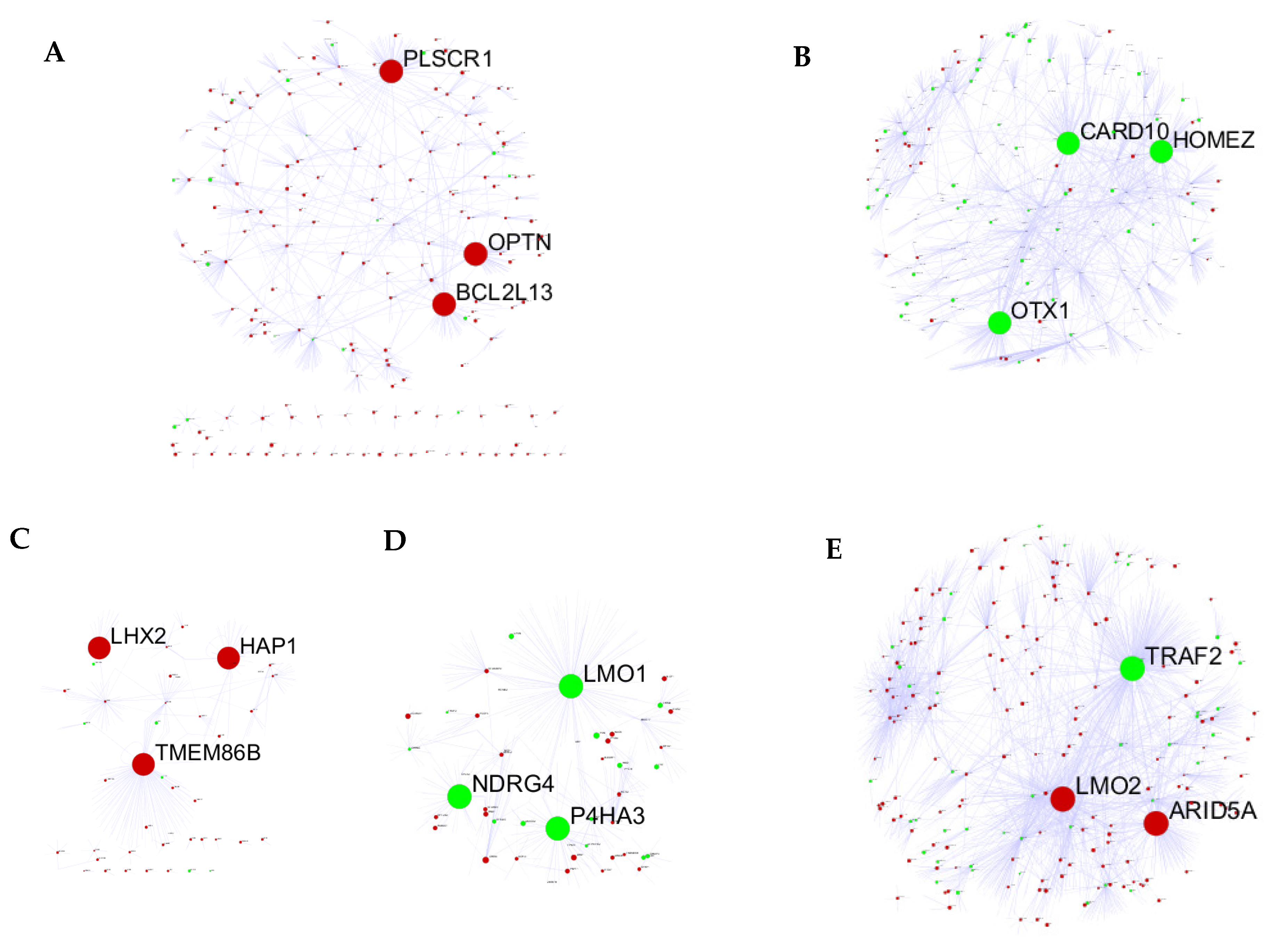 Viruses 14 01625 g005