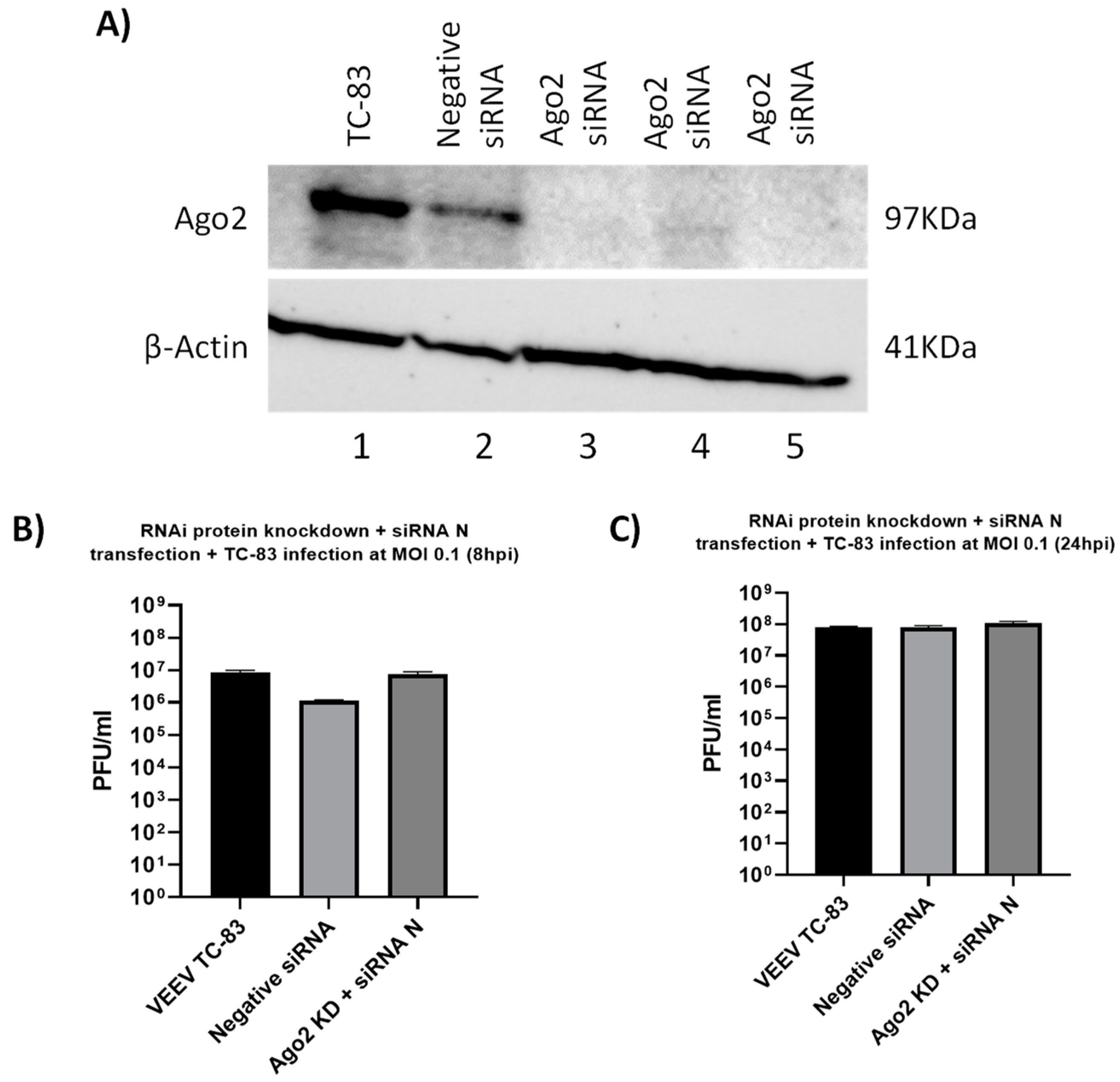 Viruses 14 01628 g006