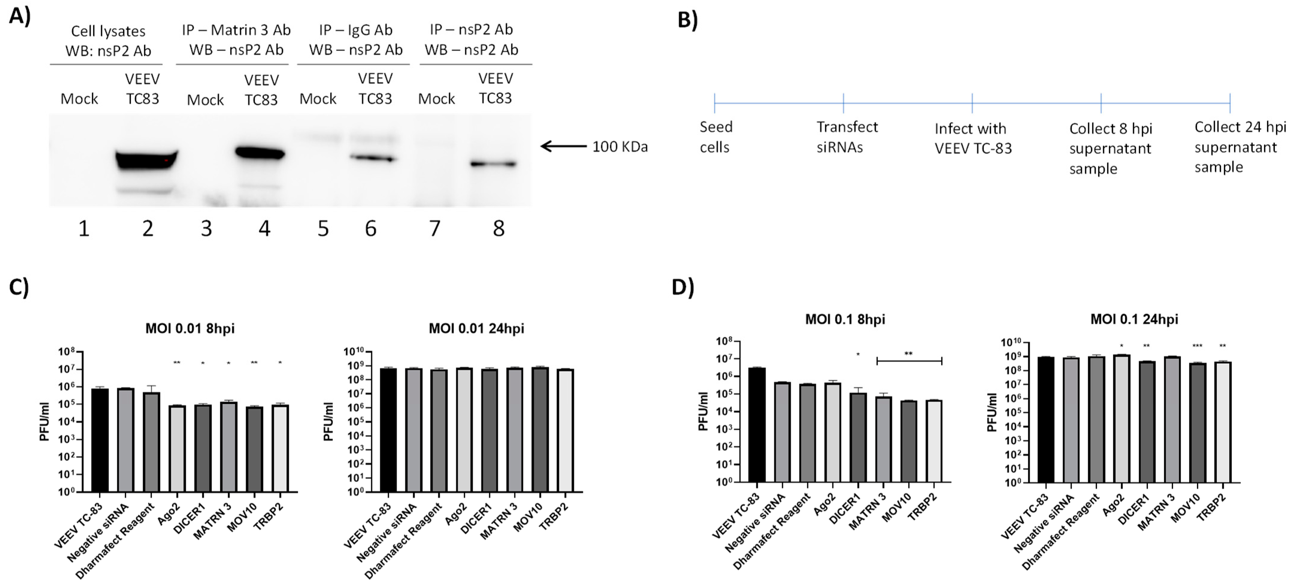 Viruses 14 01628 g007