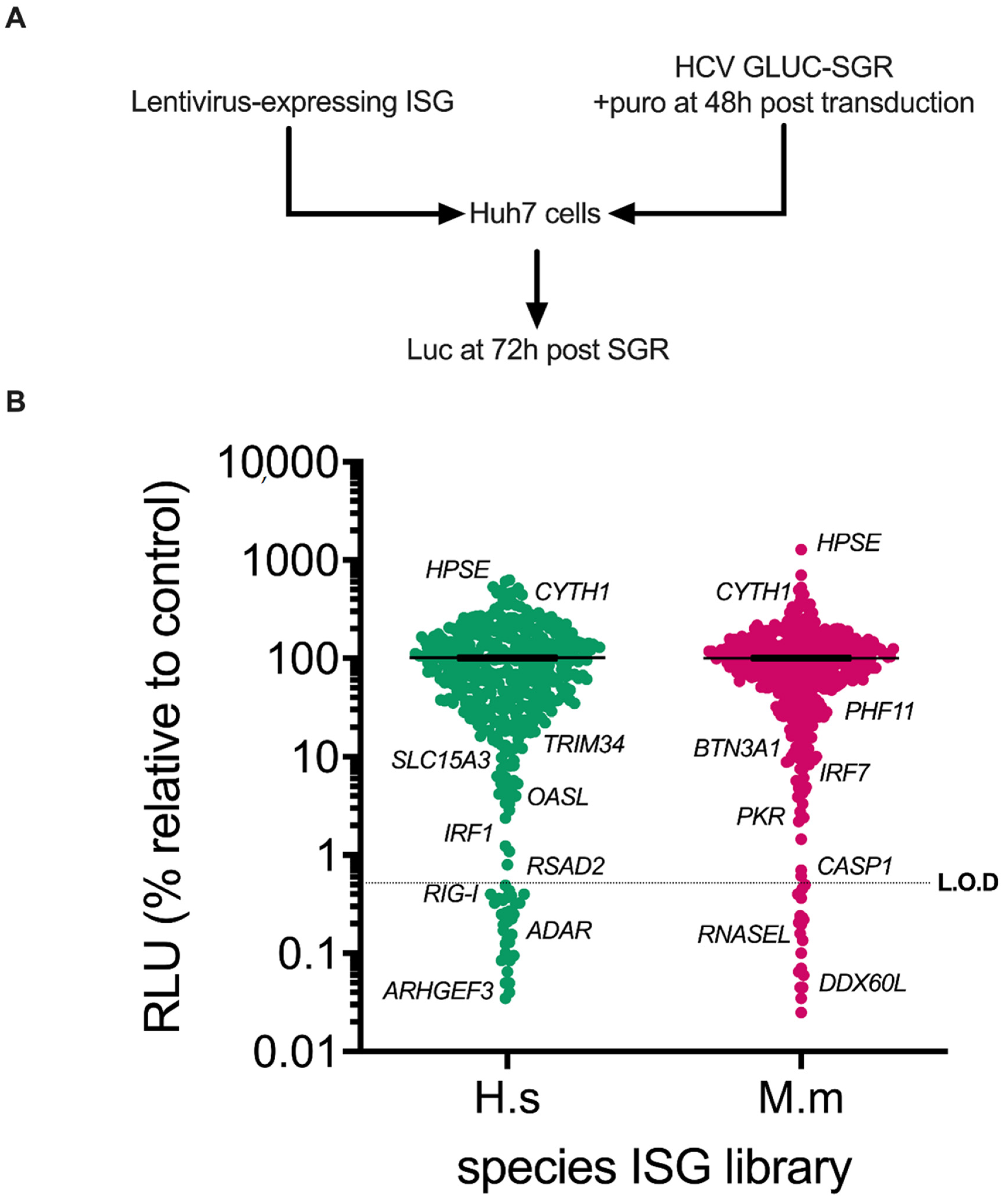 Viruses | Free Full-Text | A Human and Rhesus Macaque Interferon