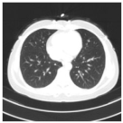 Viruses 14 01667 i007